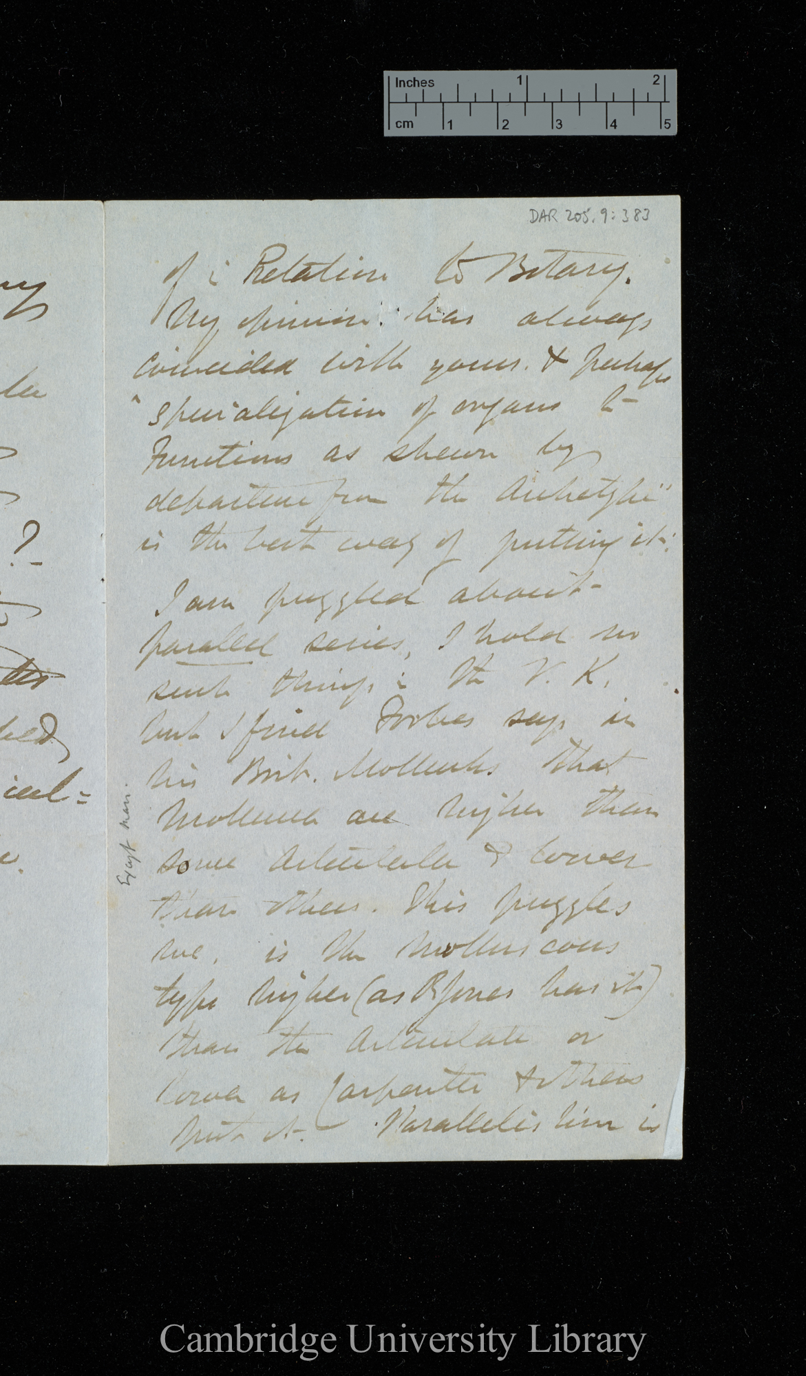 Sir Joseph Dalton Hooker to Charles Robert Darwin