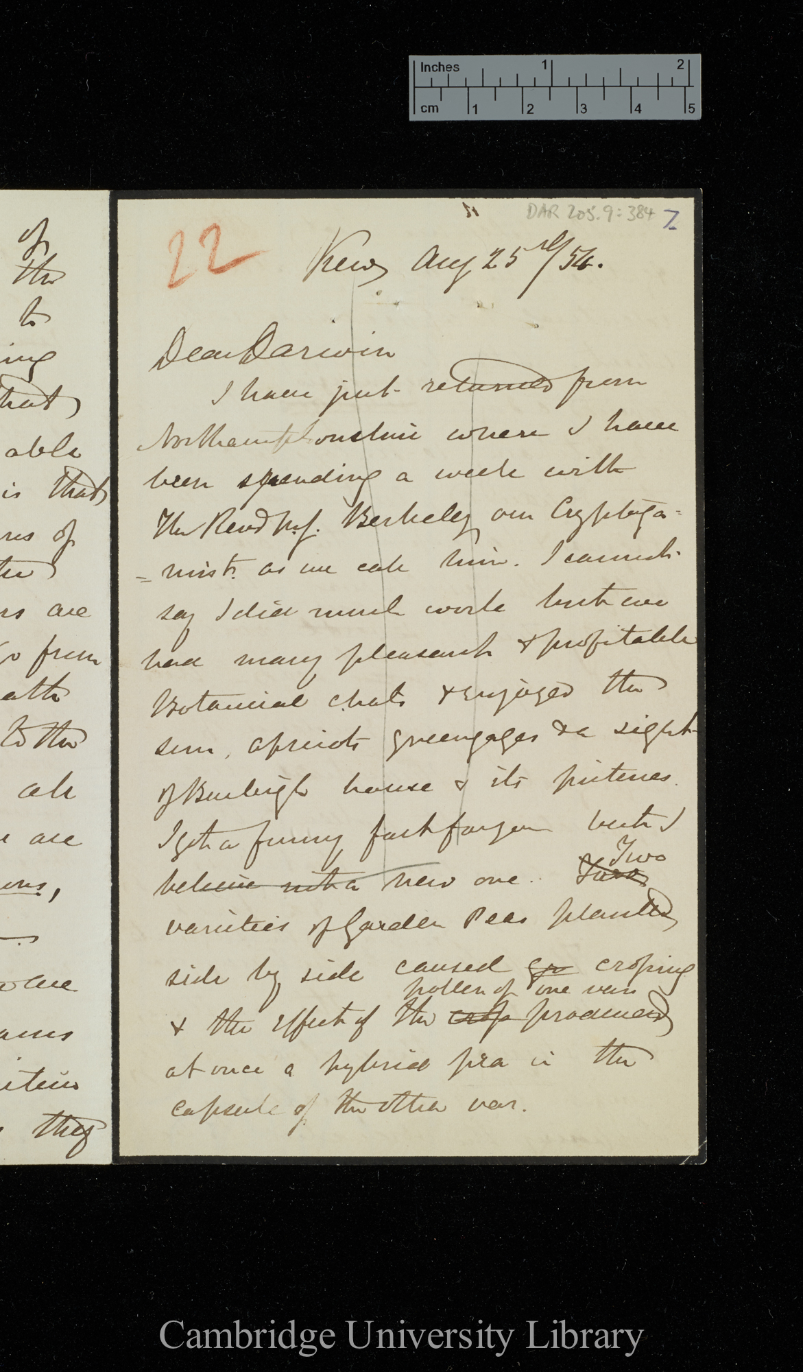 [Sir Joseph Dalton Hooker] to Charles Robert Darwin