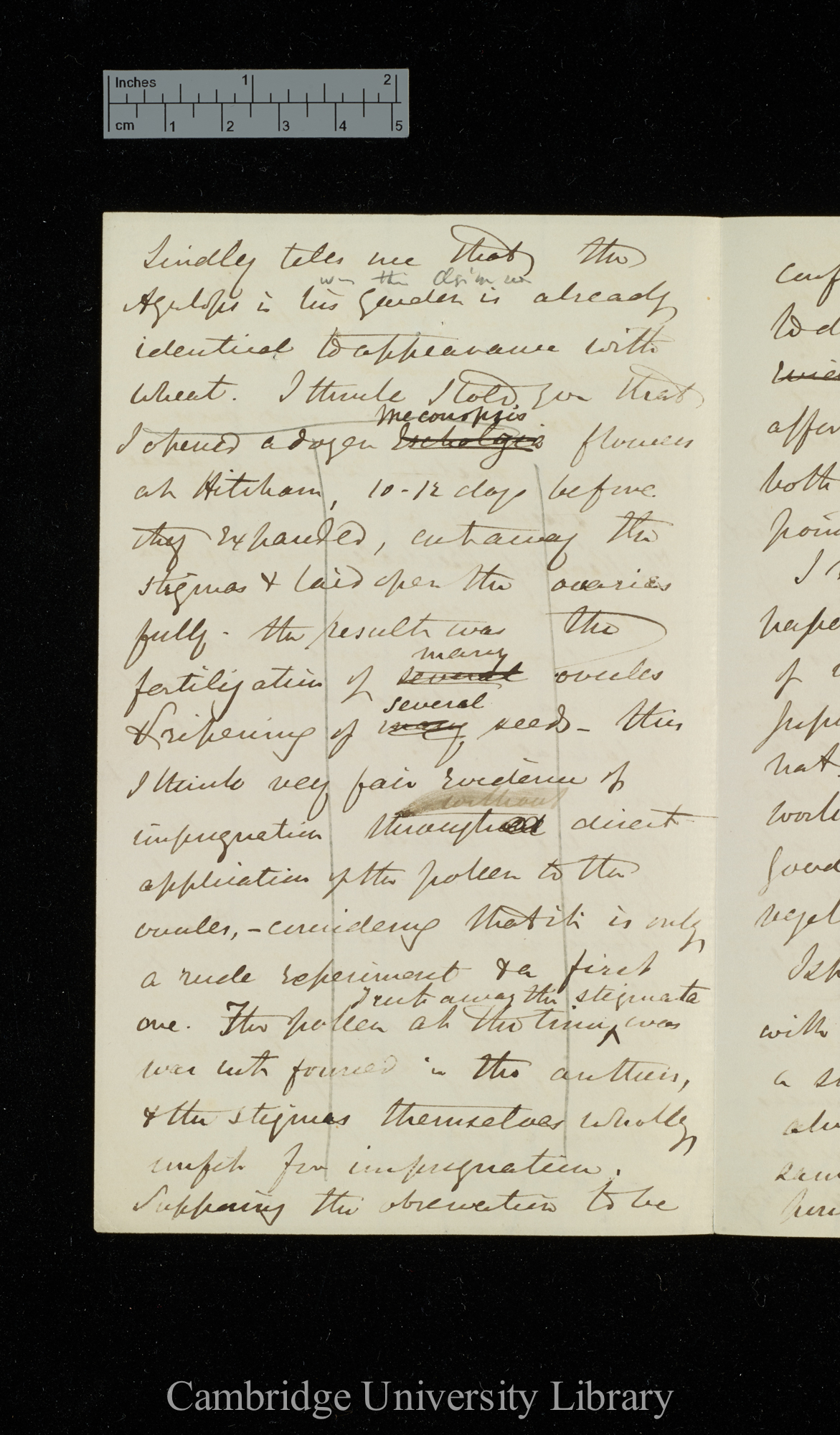 [Sir Joseph Dalton Hooker] to Charles Robert Darwin