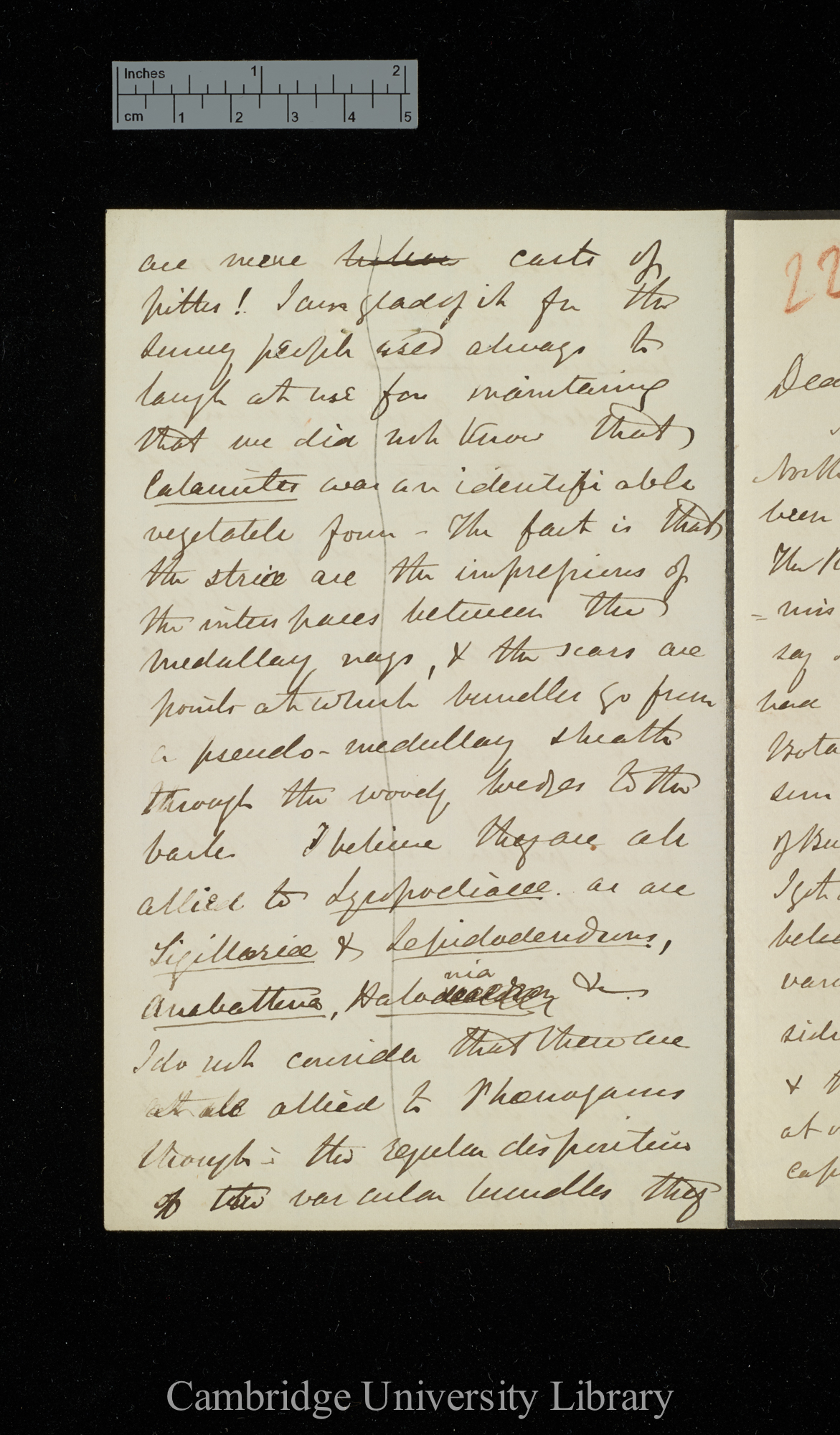 [Sir Joseph Dalton Hooker] to Charles Robert Darwin