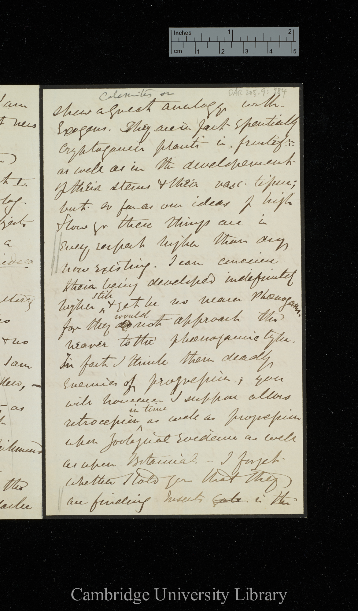 [Sir Joseph Dalton Hooker] to Charles Robert Darwin