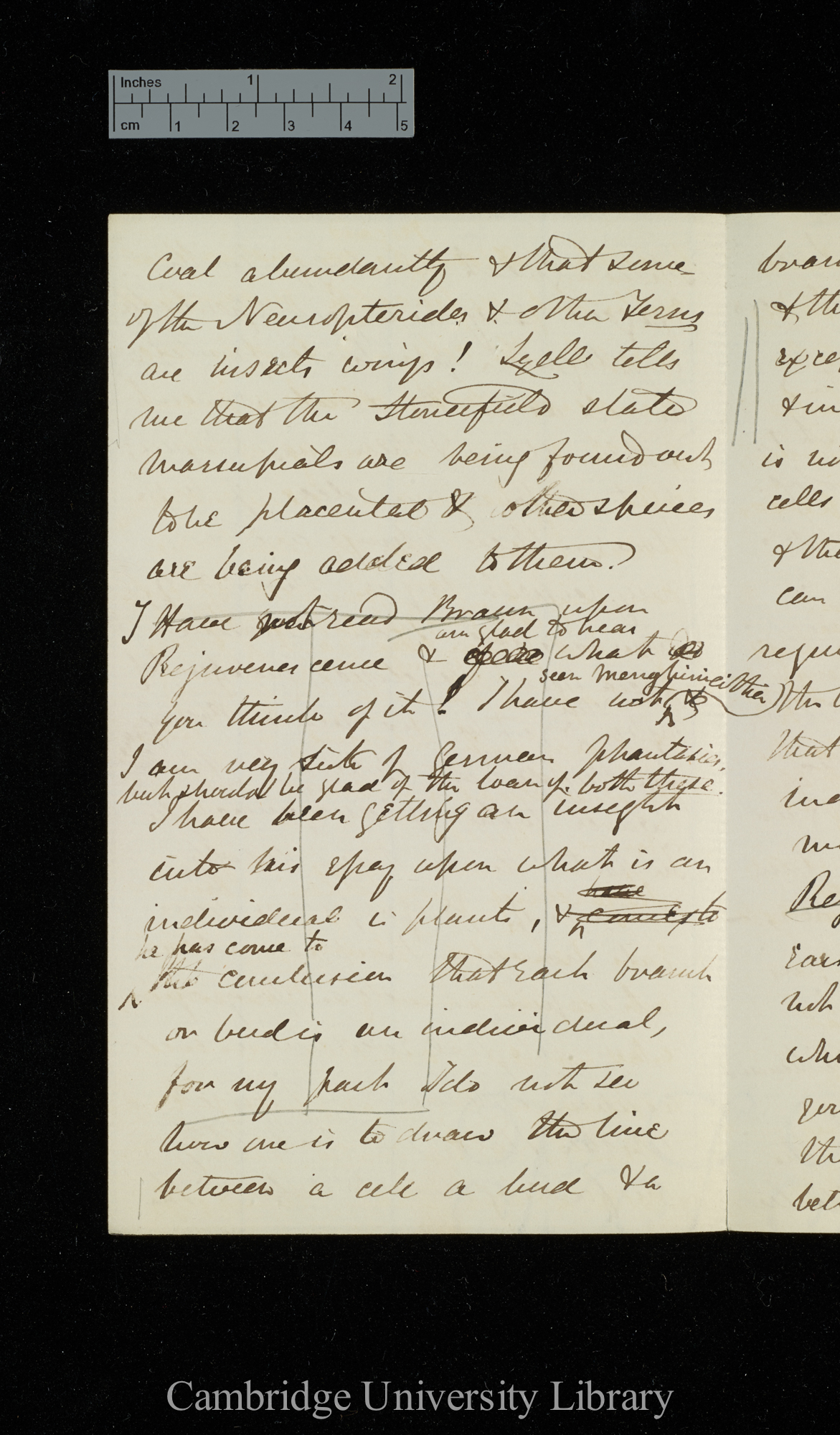 [Sir Joseph Dalton Hooker] to Charles Robert Darwin