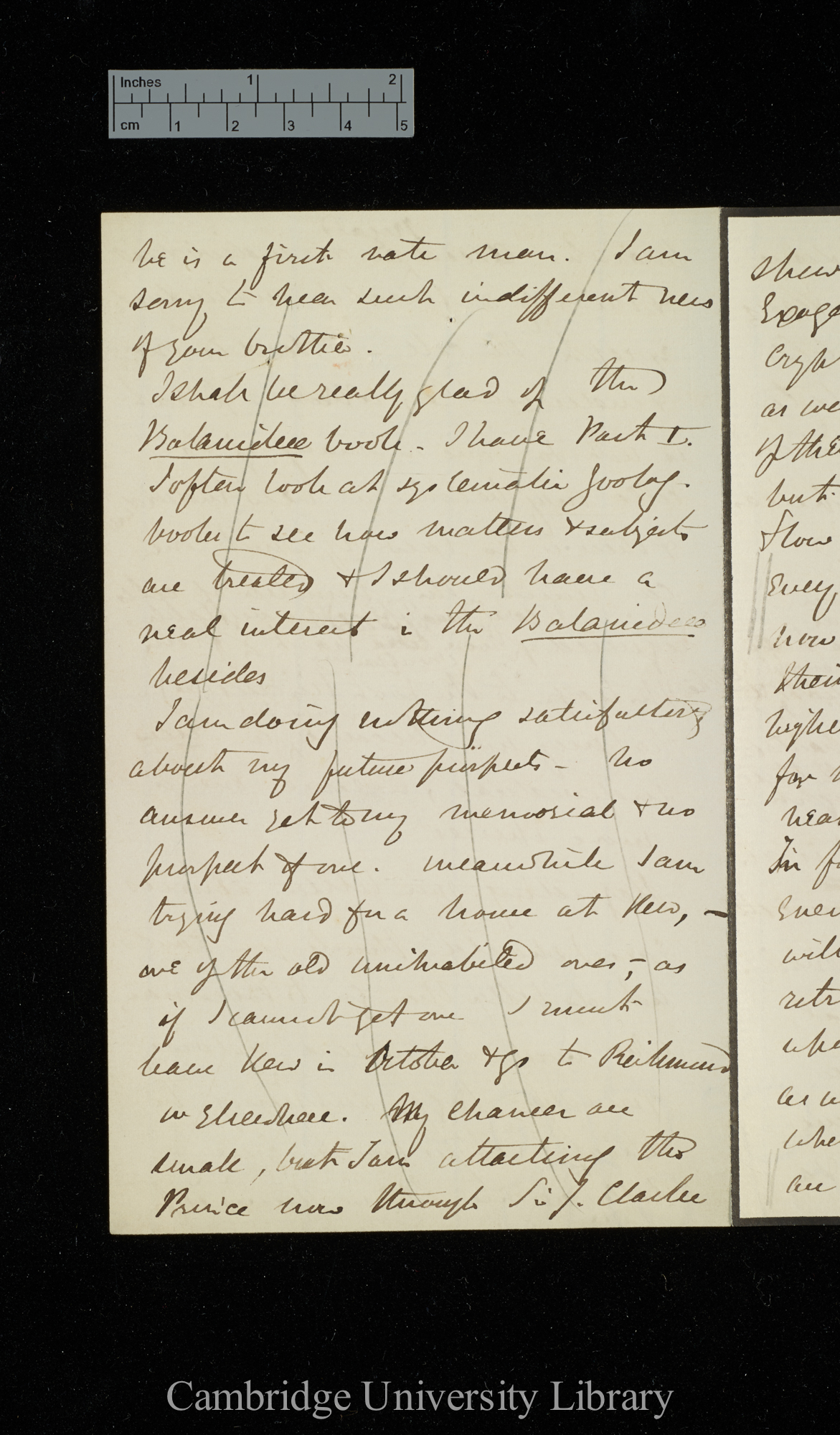 [Sir Joseph Dalton Hooker] to Charles Robert Darwin