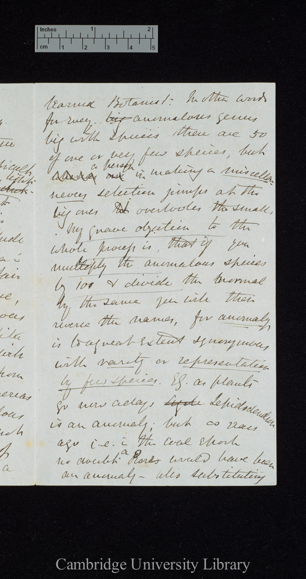 [Sir Joseph Dalton Hooker] to Charles Robert Darwin