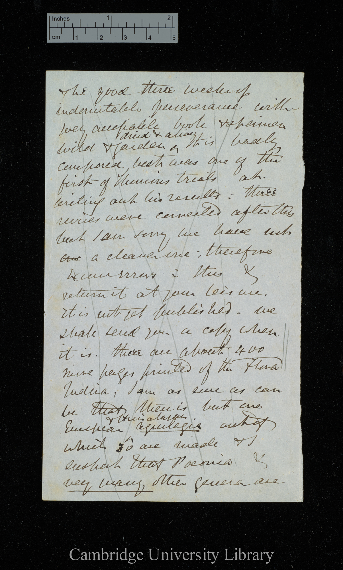 [Sir Joseph Dalton Hooker] to Charles Robert Darwin