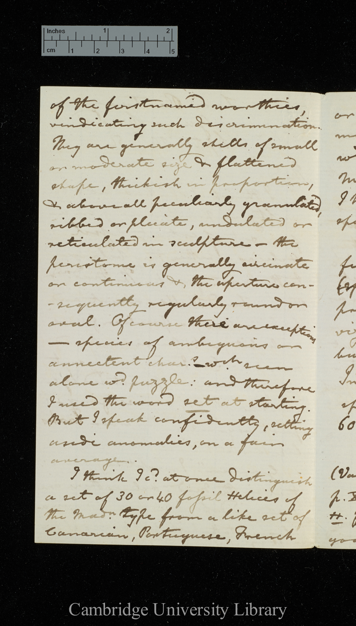 Richard Thomas Lowe to Charles Robert Darwin