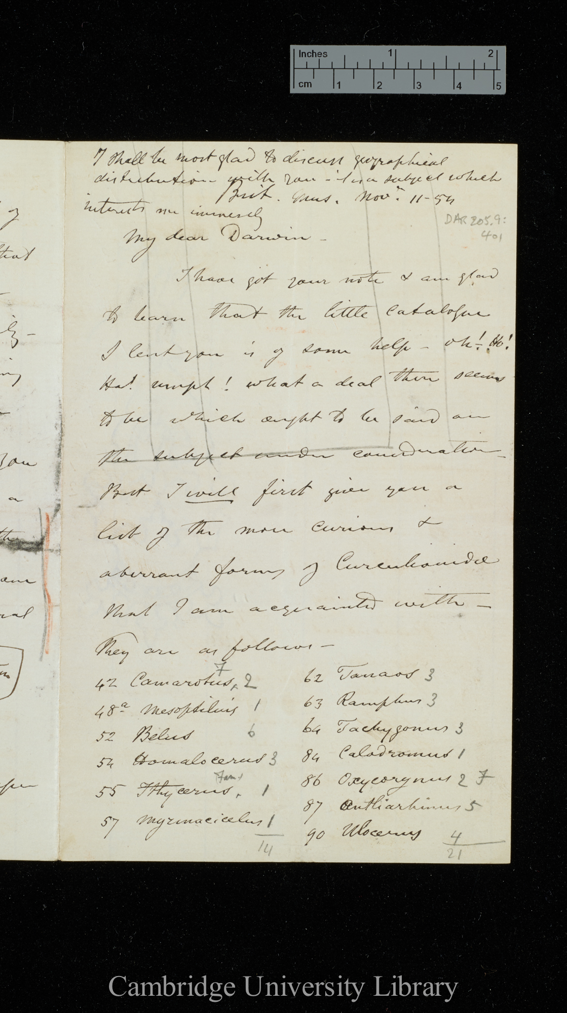 [George Robert Waterhouse] to Charles Robert Darwin