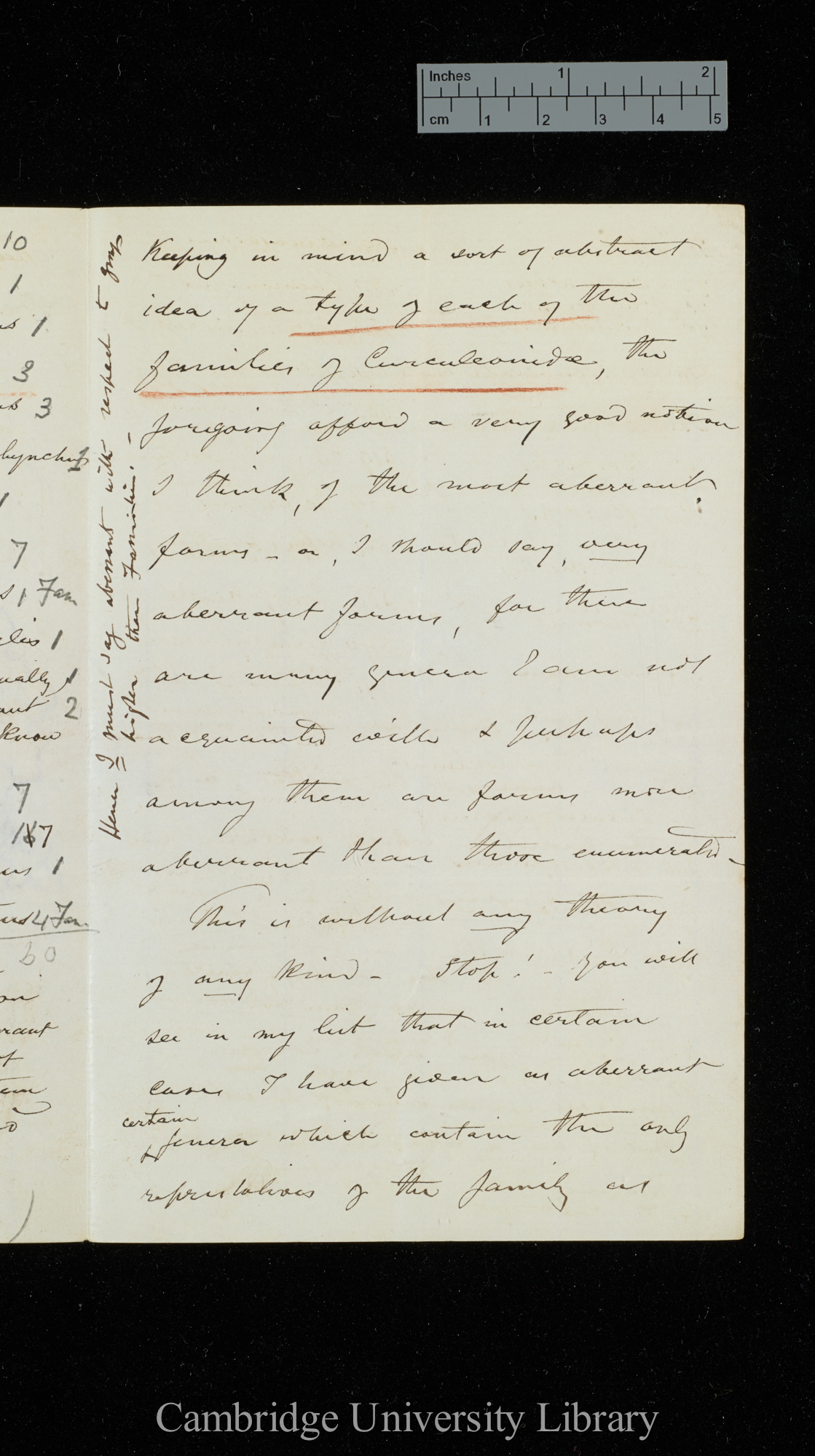 [George Robert Waterhouse] to Charles Robert Darwin