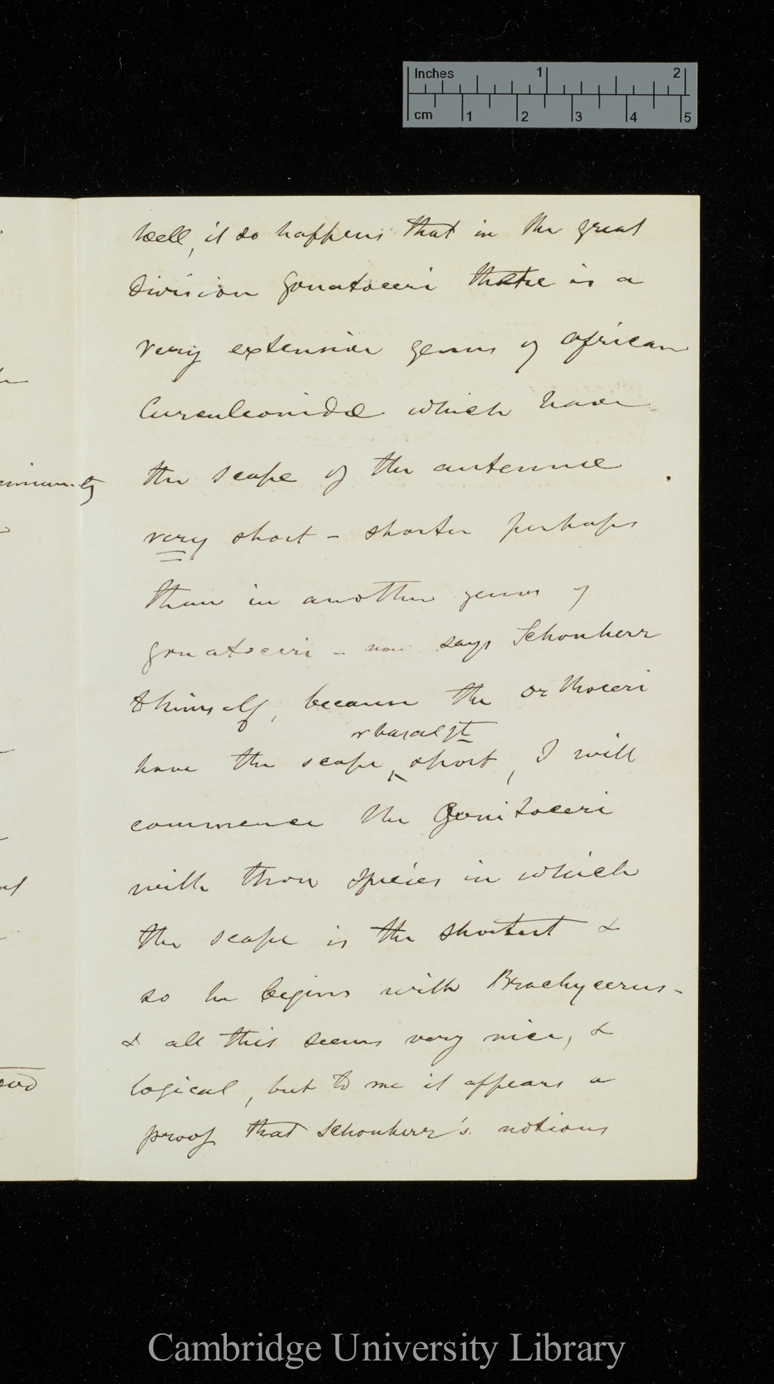 [George Robert Waterhouse] to Charles Robert Darwin