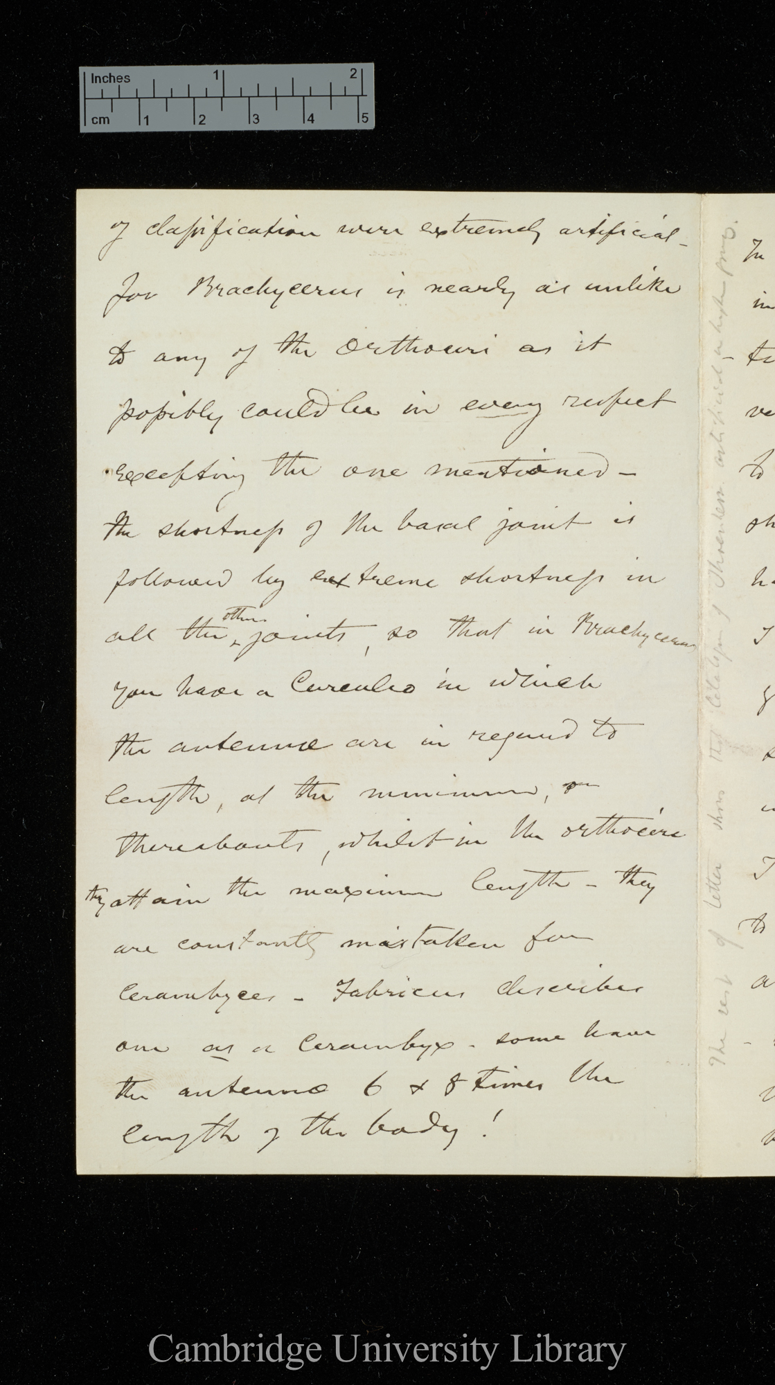 [George Robert Waterhouse] to Charles Robert Darwin