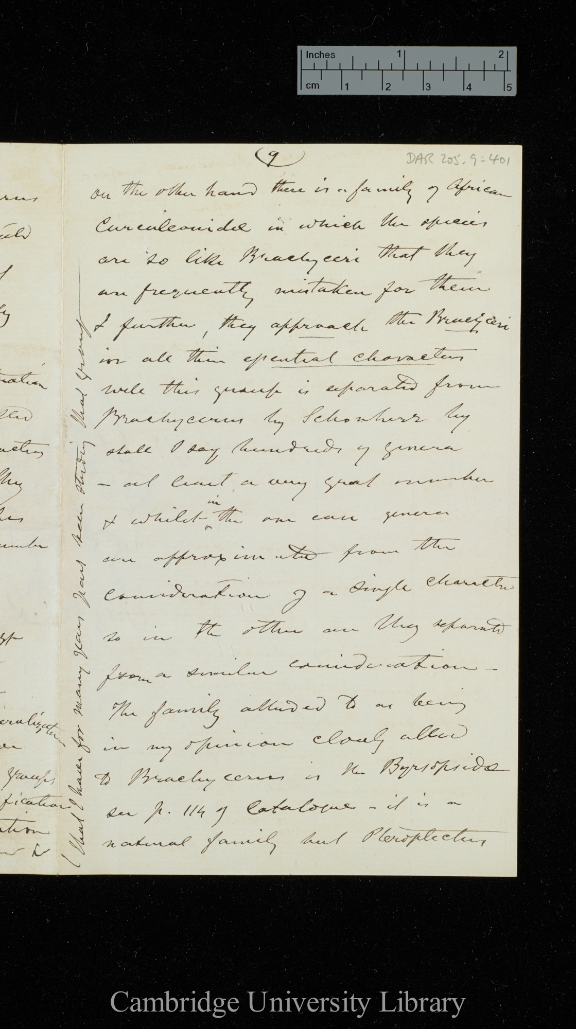 [George Robert Waterhouse] to Charles Robert Darwin