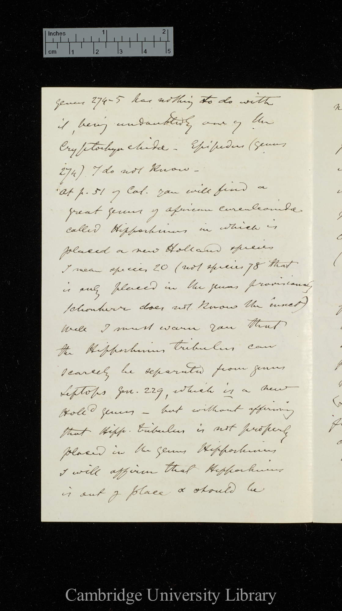 [George Robert Waterhouse] to Charles Robert Darwin