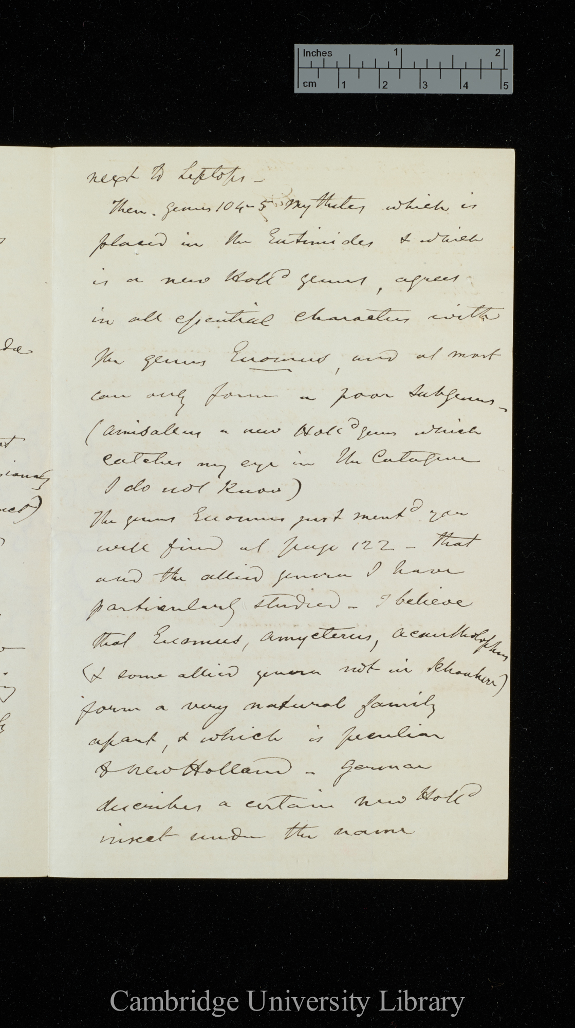 [George Robert Waterhouse] to Charles Robert Darwin