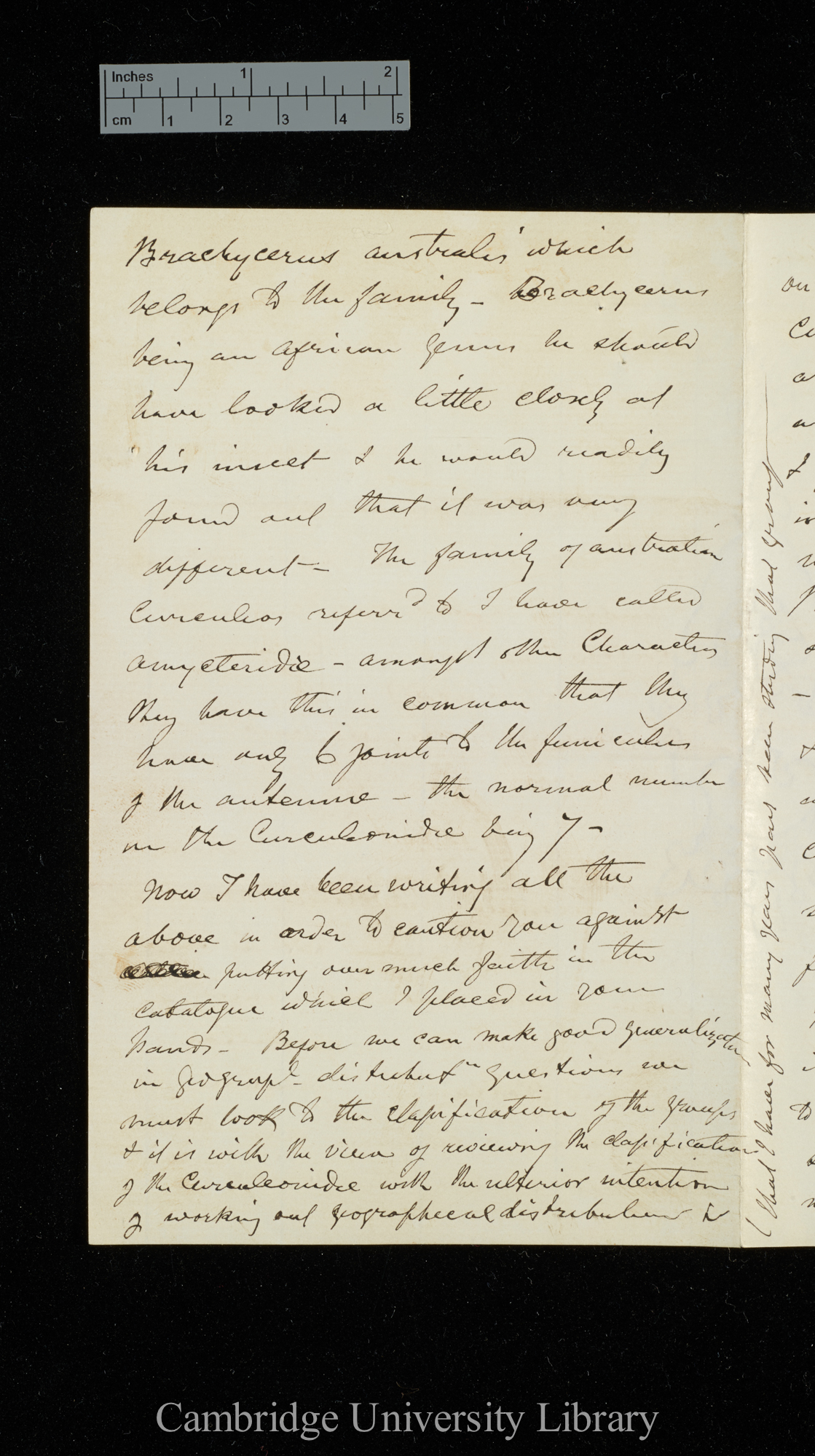 [George Robert Waterhouse] to Charles Robert Darwin