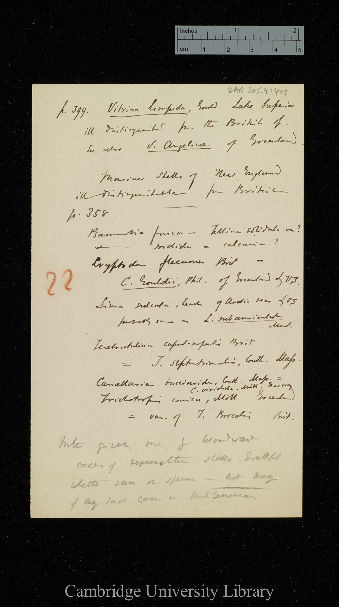 Letter from [Samuel Pickworth Woodward] to Charles Robert Darwin; written at [place unstated]