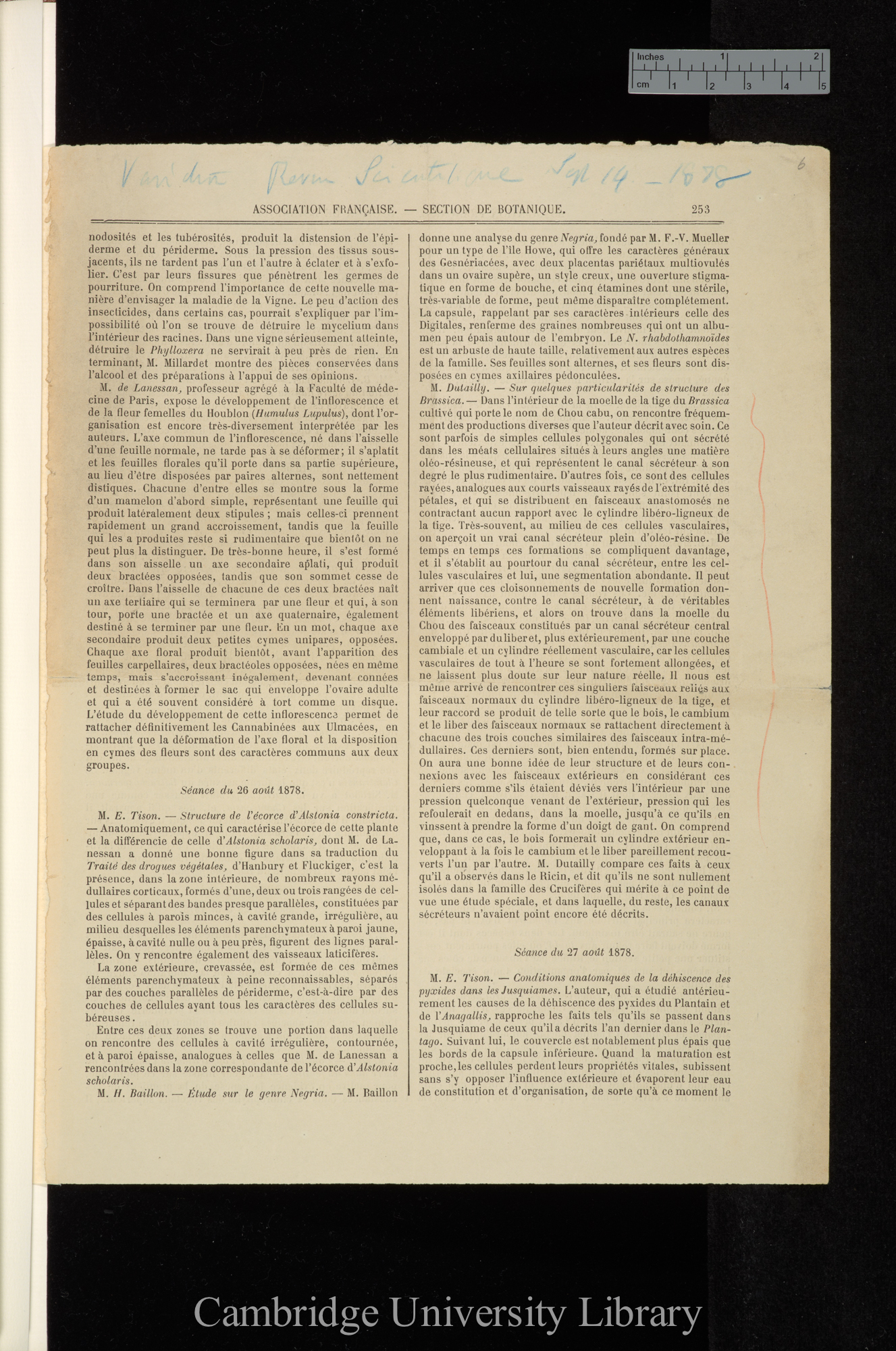 Sur quelques particuliarités de structure des Brassica &#39;(Paris) Revue Scientifique de la France et l&#39;Etranger&#39; 2s 8: 253