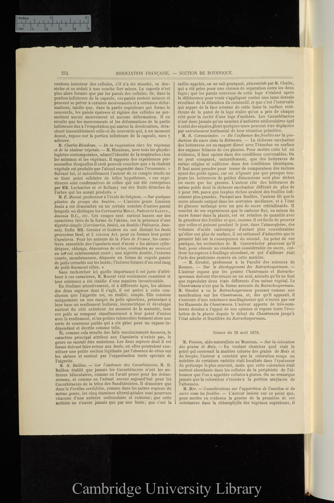 Sur quelques particuliarités de structure des Brassica &#39;(Paris) Revue Scientifique de la France et l&#39;Etranger&#39; 2s 8: 254