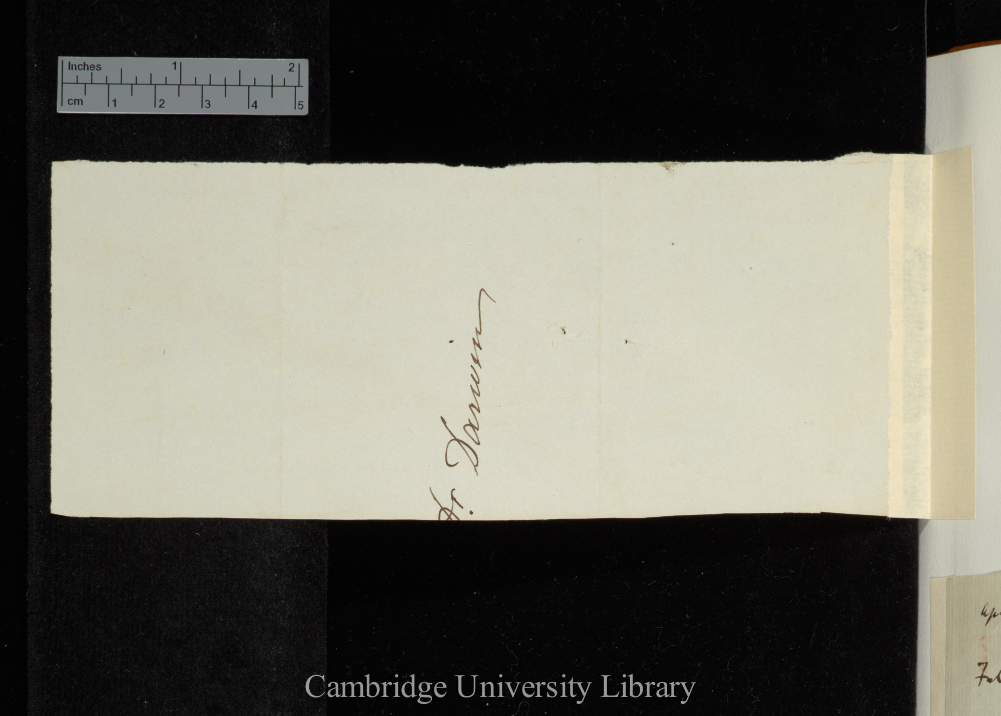 Reverse of part of letter-cover(?) addressed &#39;Dr. Darwin