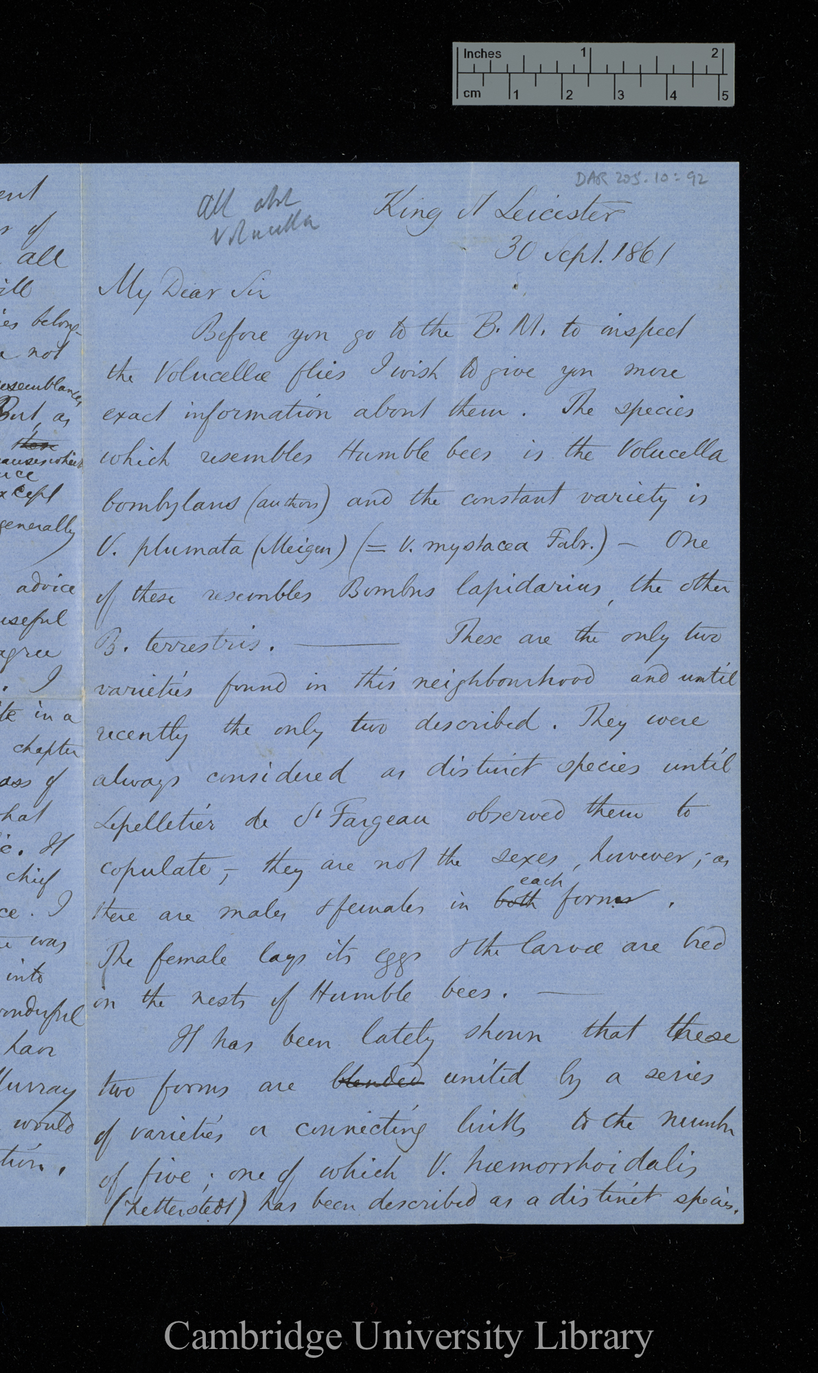 Henry Walter Bates to Charles Robert Darwin