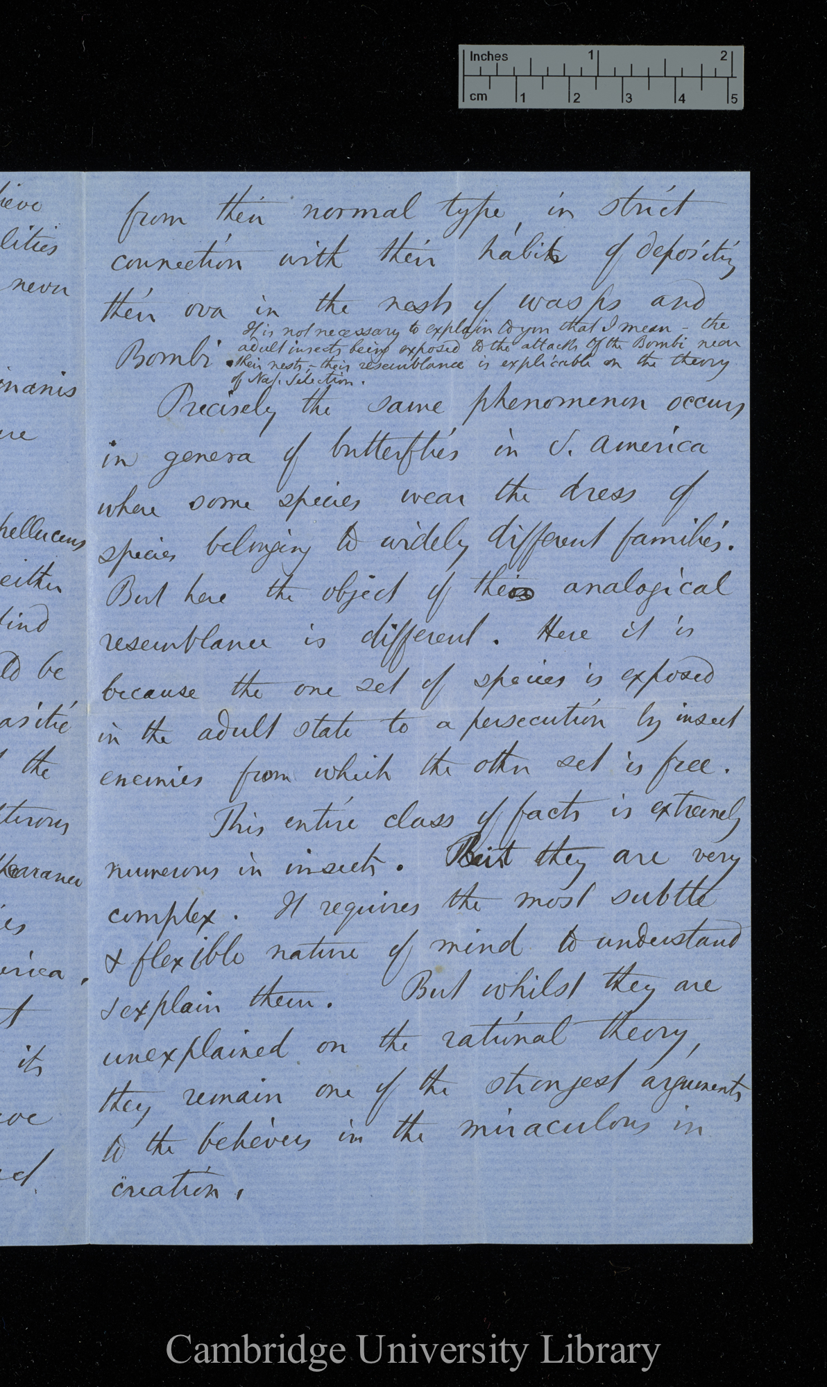 Henry Walter Bates to Charles Robert Darwin