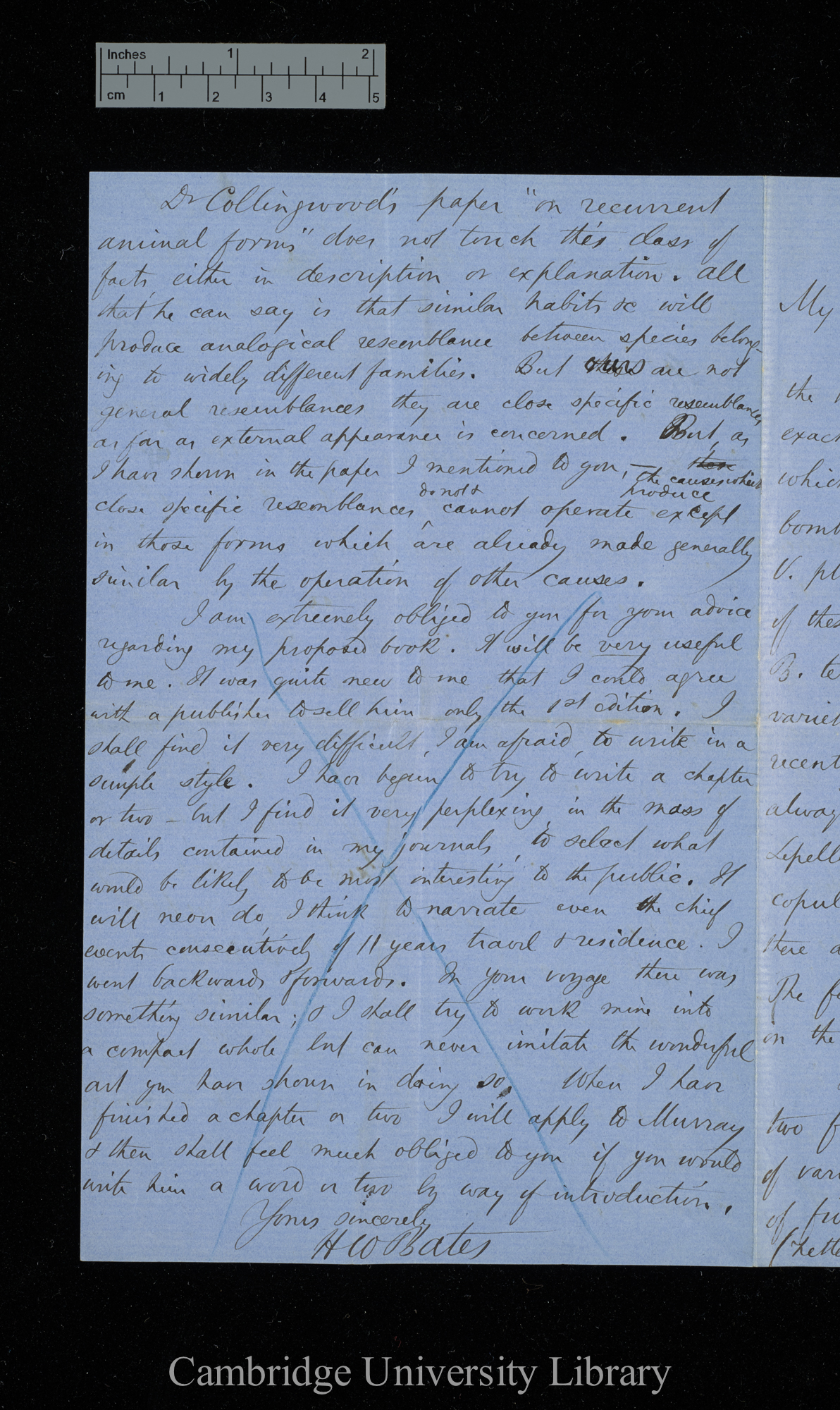 Henry Walter Bates to Charles Robert Darwin