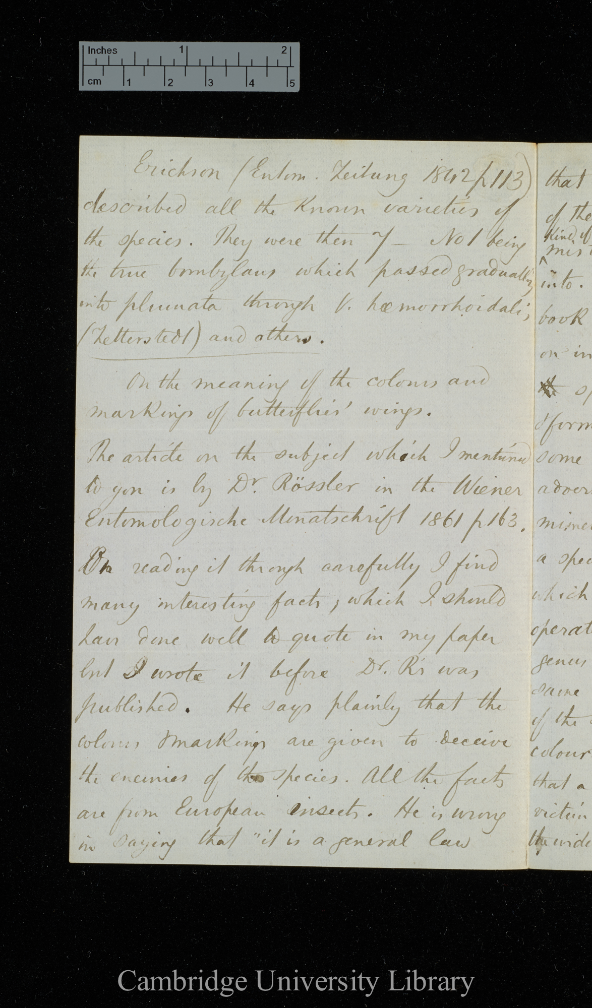 Henry Walter Bates to Charles Robert Darwin