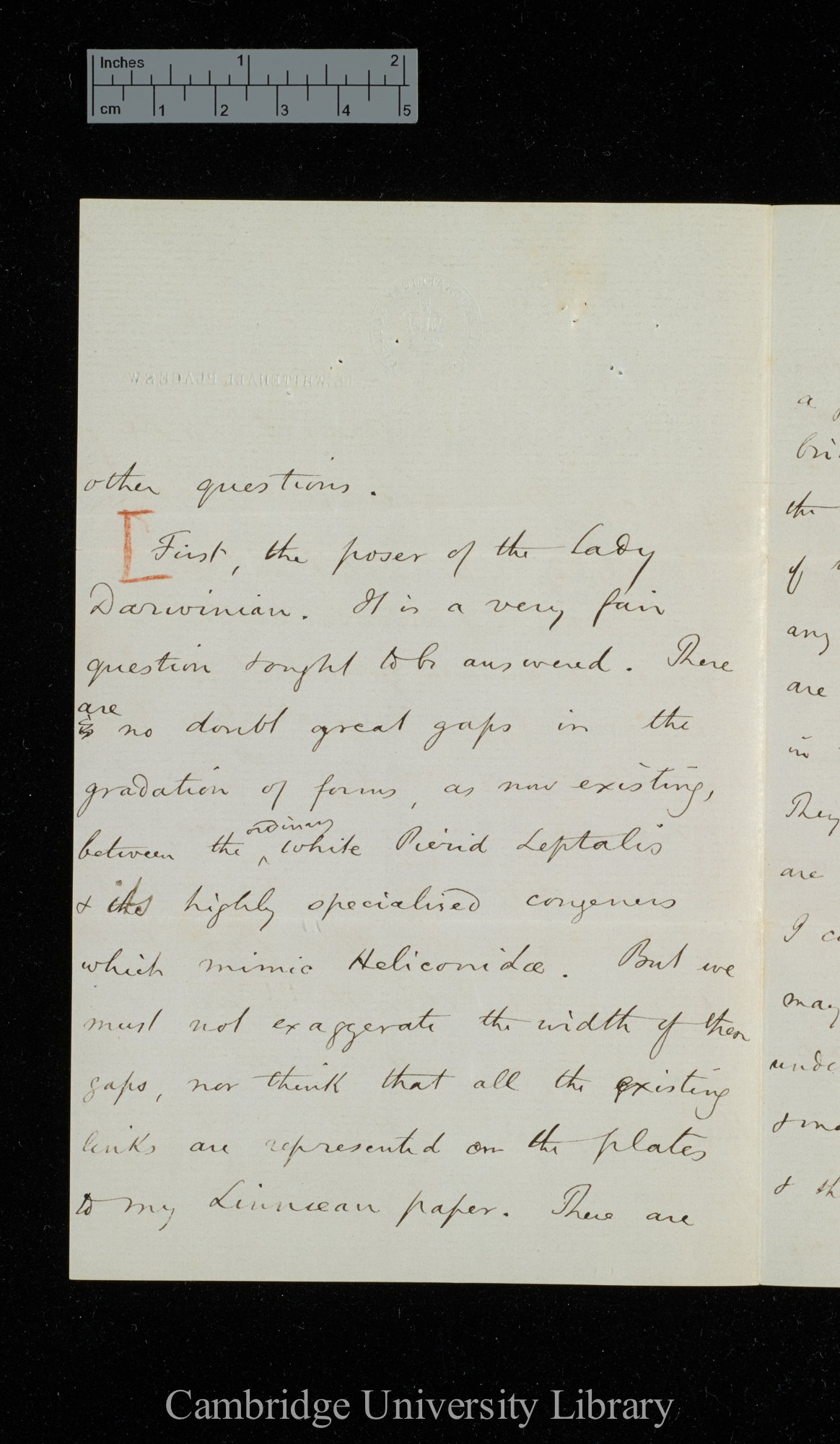 Henry Walter Bates to Charles Robert Darwin