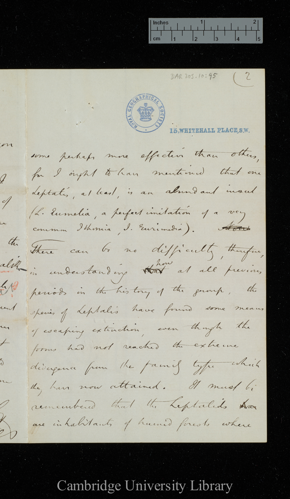 Henry Walter Bates to Charles Robert Darwin