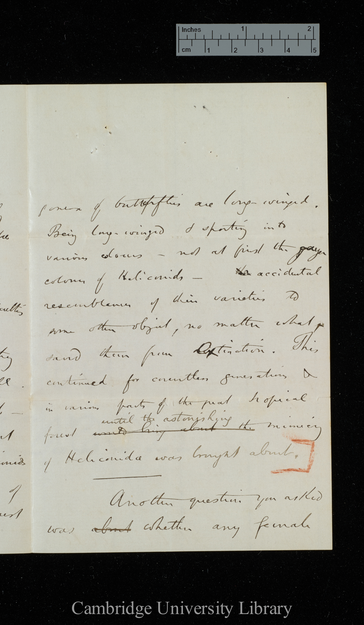 Henry Walter Bates to Charles Robert Darwin