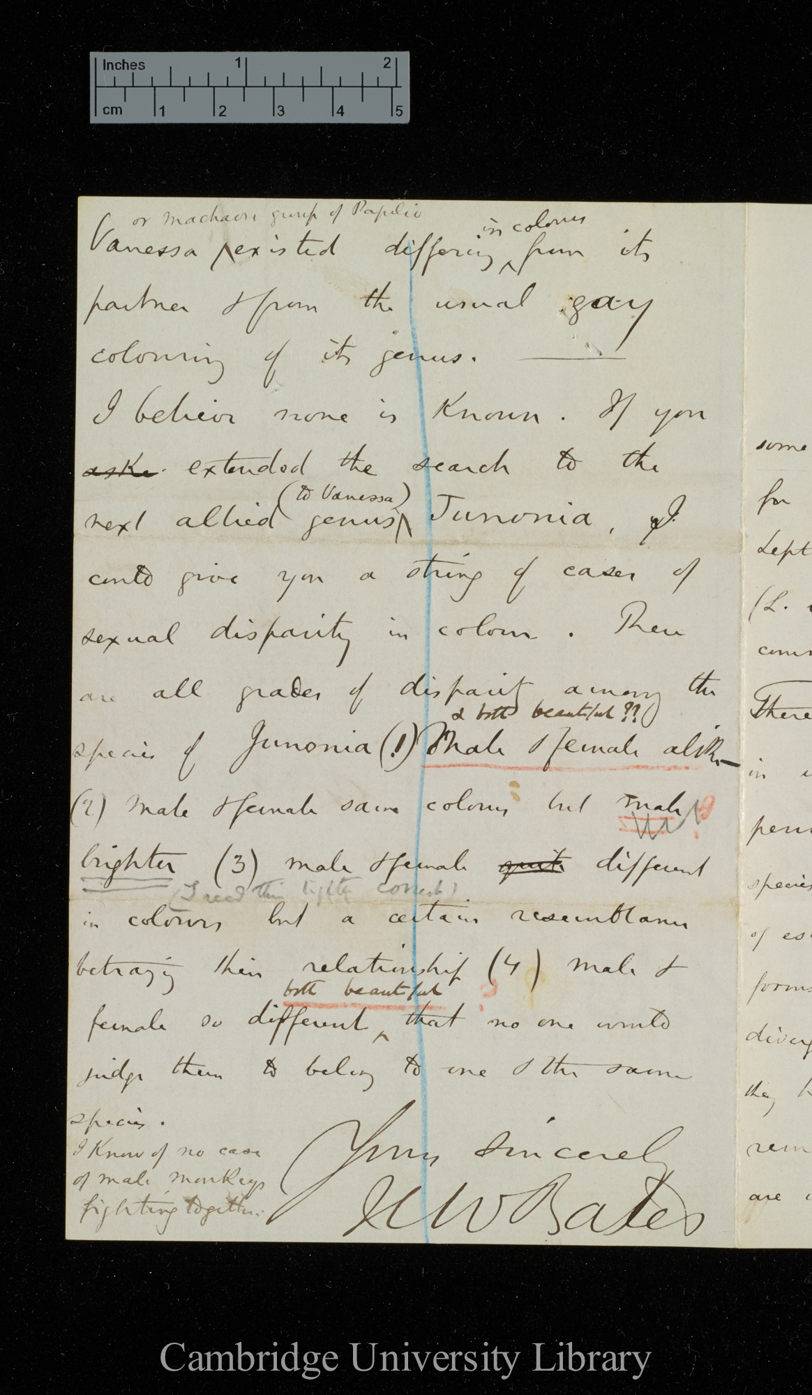 Henry Walter Bates to Charles Robert Darwin