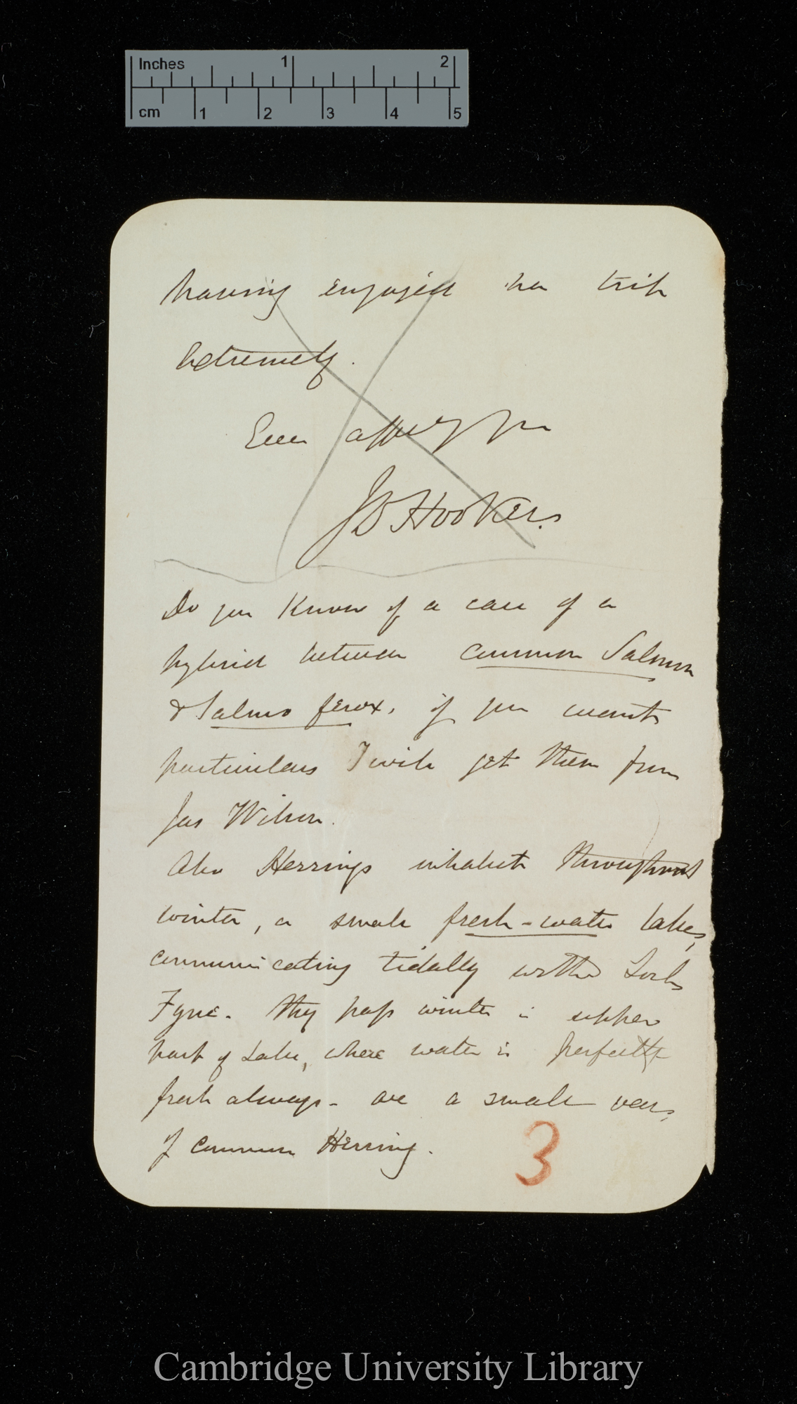 [Sir Walter Eliot] to Charles Robert Darwin