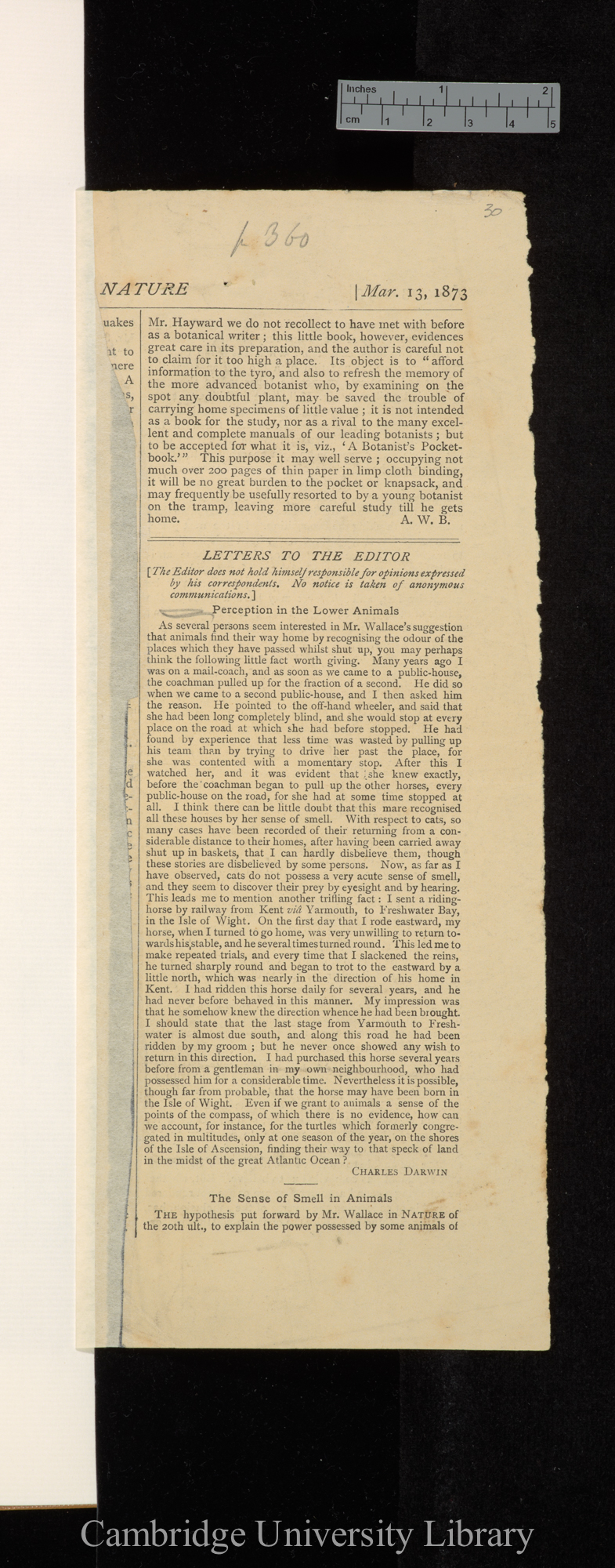 Perception in the lower animals (letter to Editor) &#39;Nature&#39; 7: 360