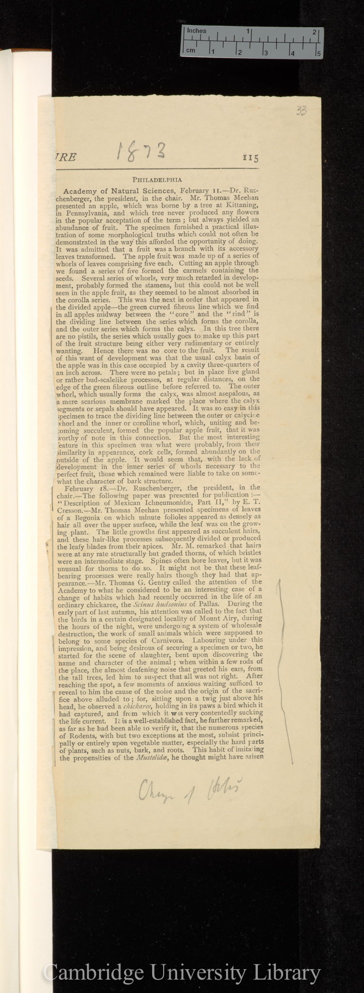 Philadelphia Academy of Natural Sciences meeting of 18 February 1873 &#39;Nature&#39; 8: 115