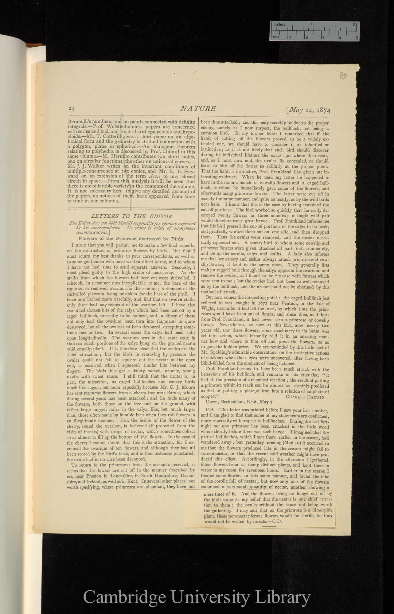 Flowers of the primrose destroyed by birds (letter to Editor) &#39;Nature&#39; 9: 24-25