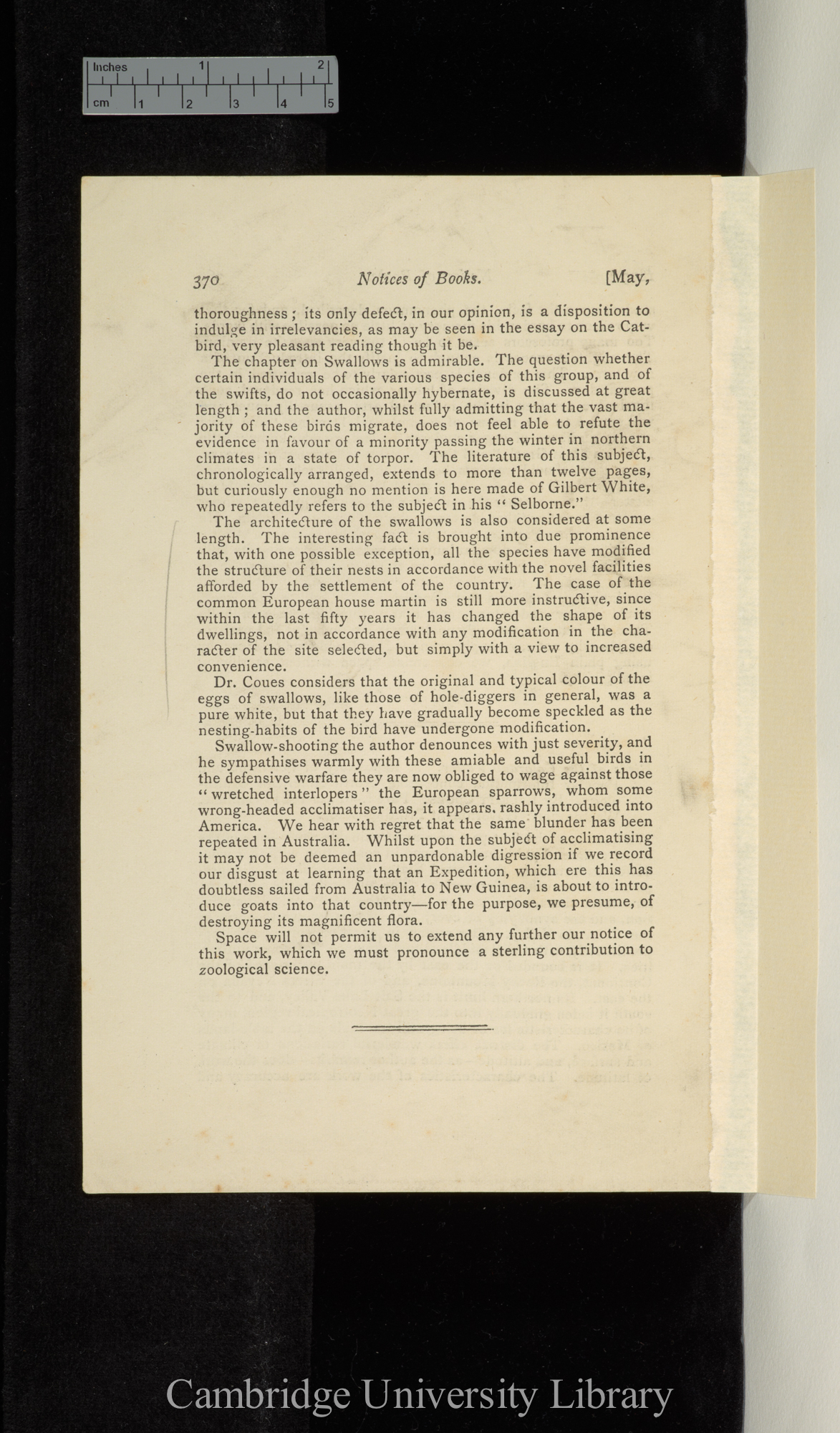 Notice of Coues E &#39;Birds of the Colorado Valley&#39; &#39;Monthly Journal of Science, 3s 1: 370