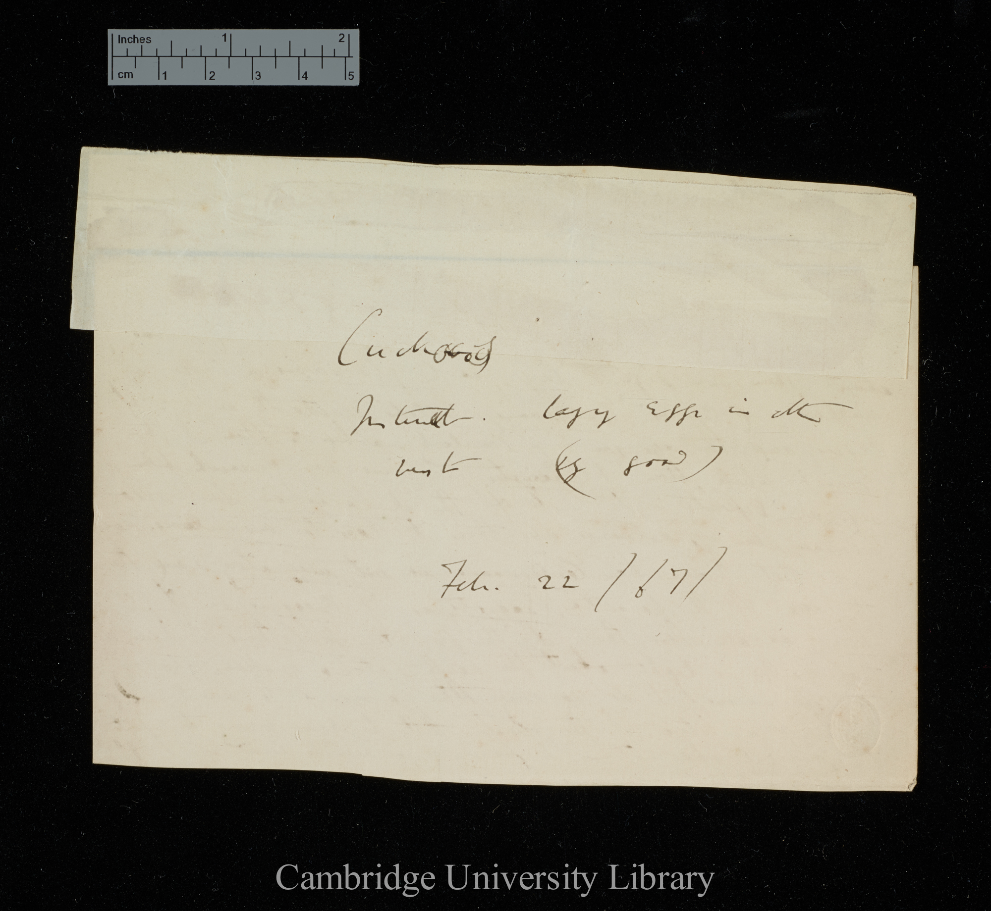 Edward Blyth to Charles Robert Darwin [note by CD]