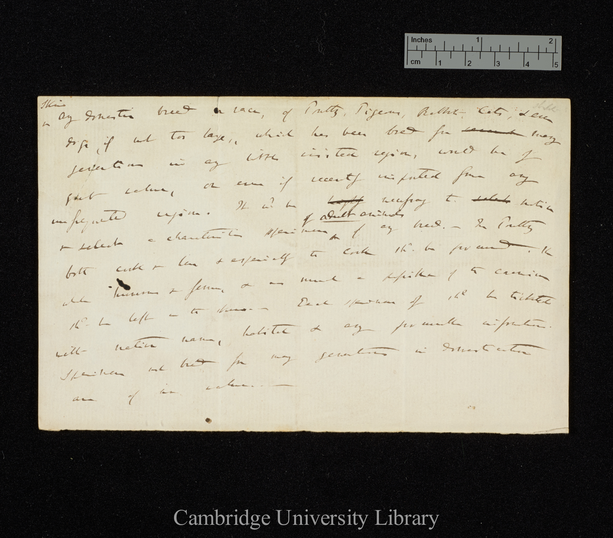 Charles Robert Darwin to [unspecified]