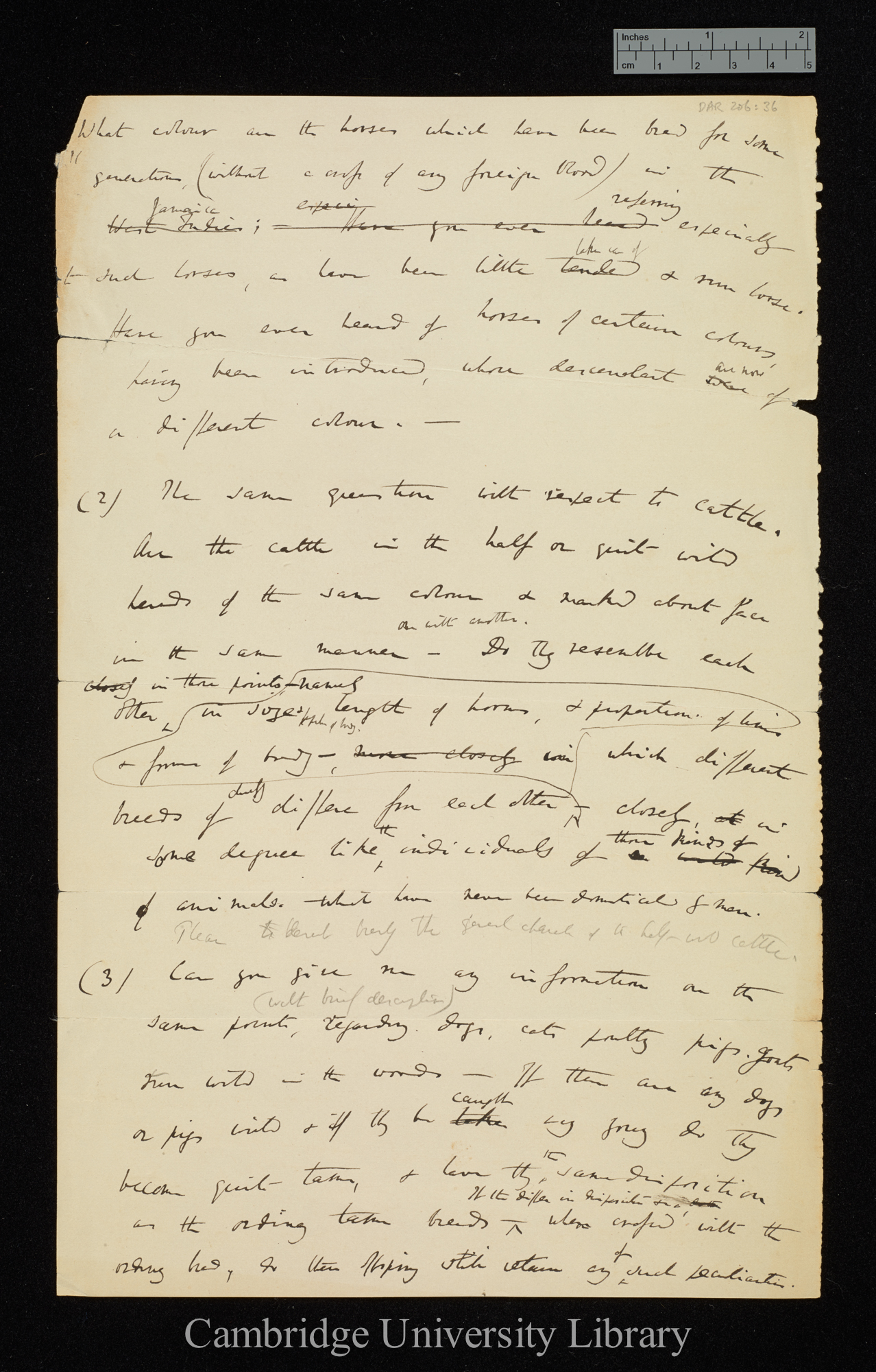 Charles Robert Darwin to [Henry Thomas De la Beche]