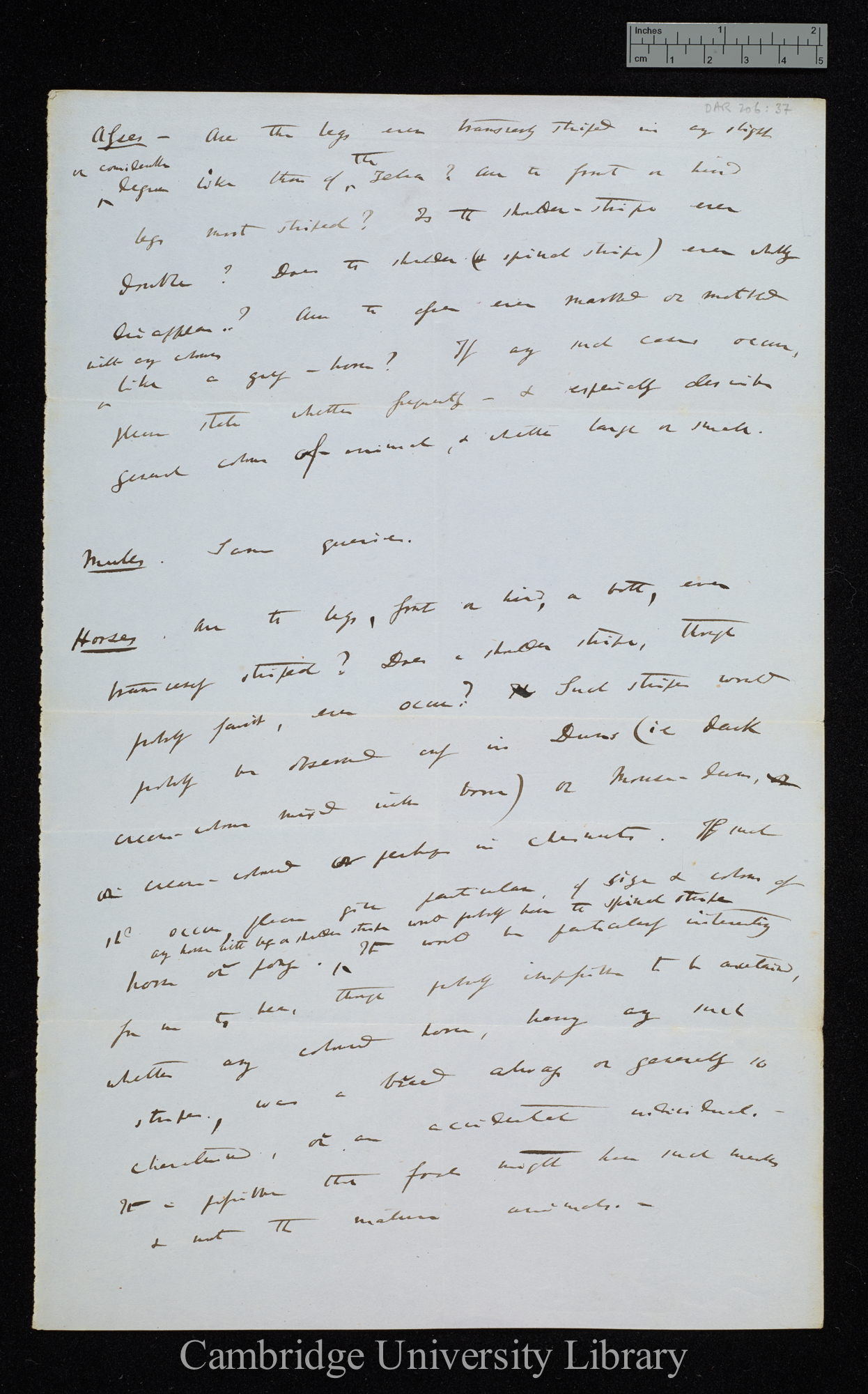 Charles Robert Darwin to [James Egan]