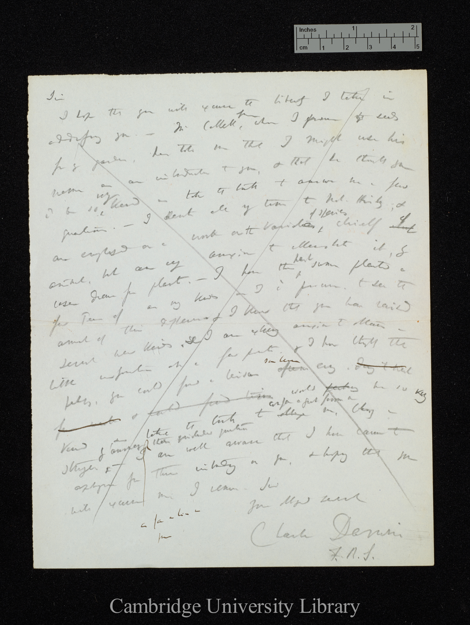 Charles Robert Darwin to William Fairbeard and Julius Fairbeard