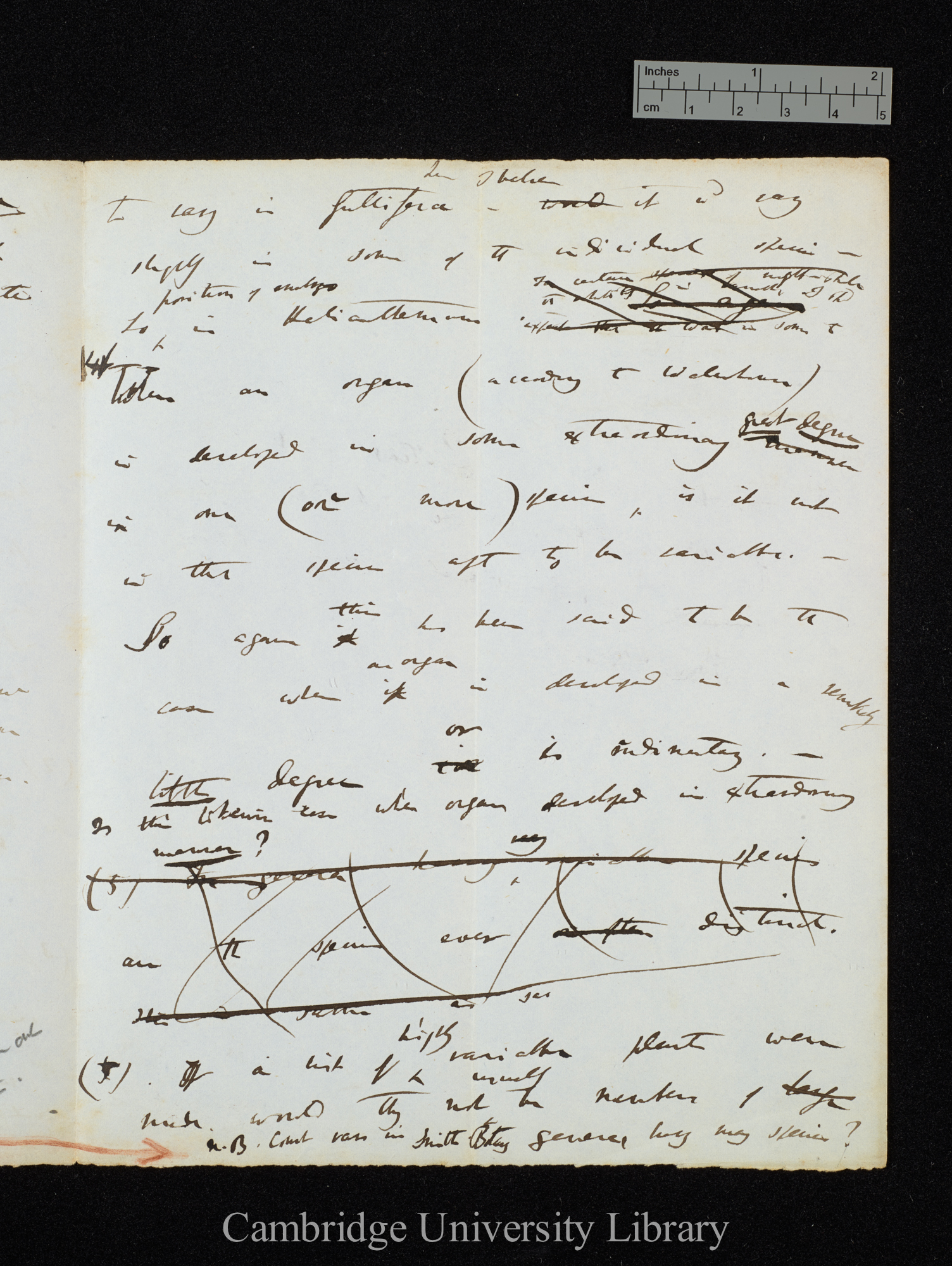 Charles Robert Darwin to Sir Joseph Dalton Hooker