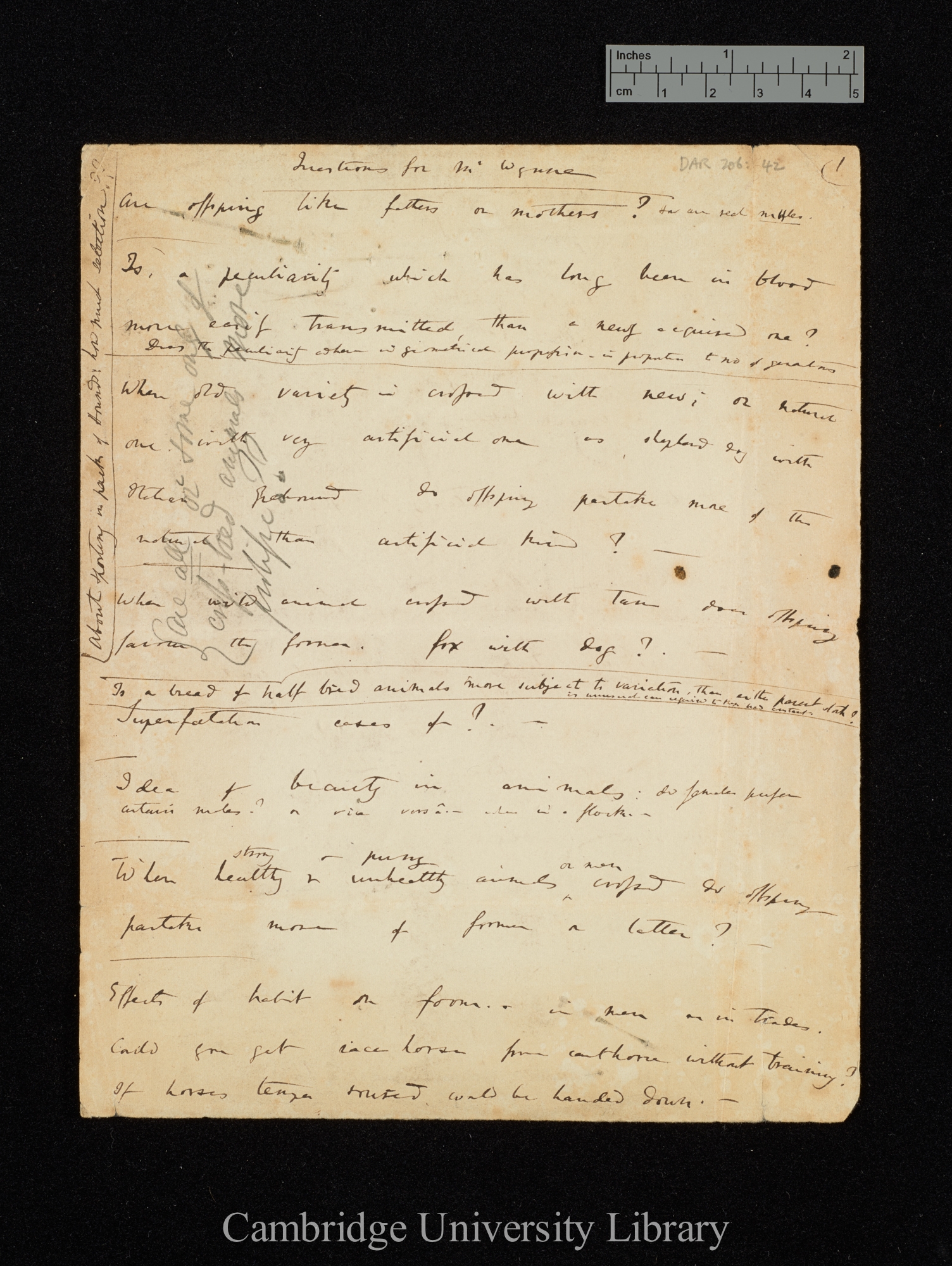 Charles Robert Darwin to Mr Wynne