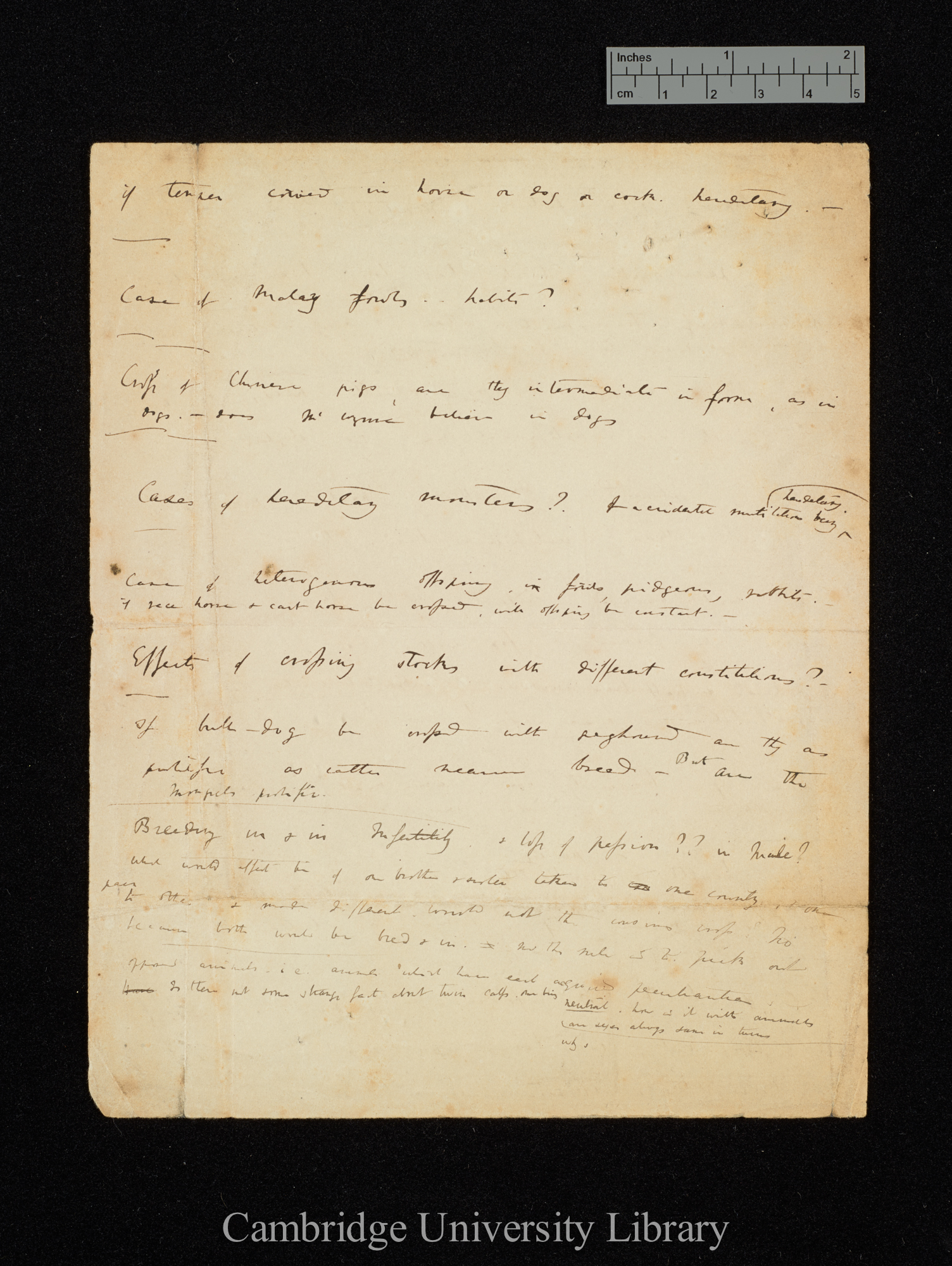 Charles Robert Darwin to Mr Wynne