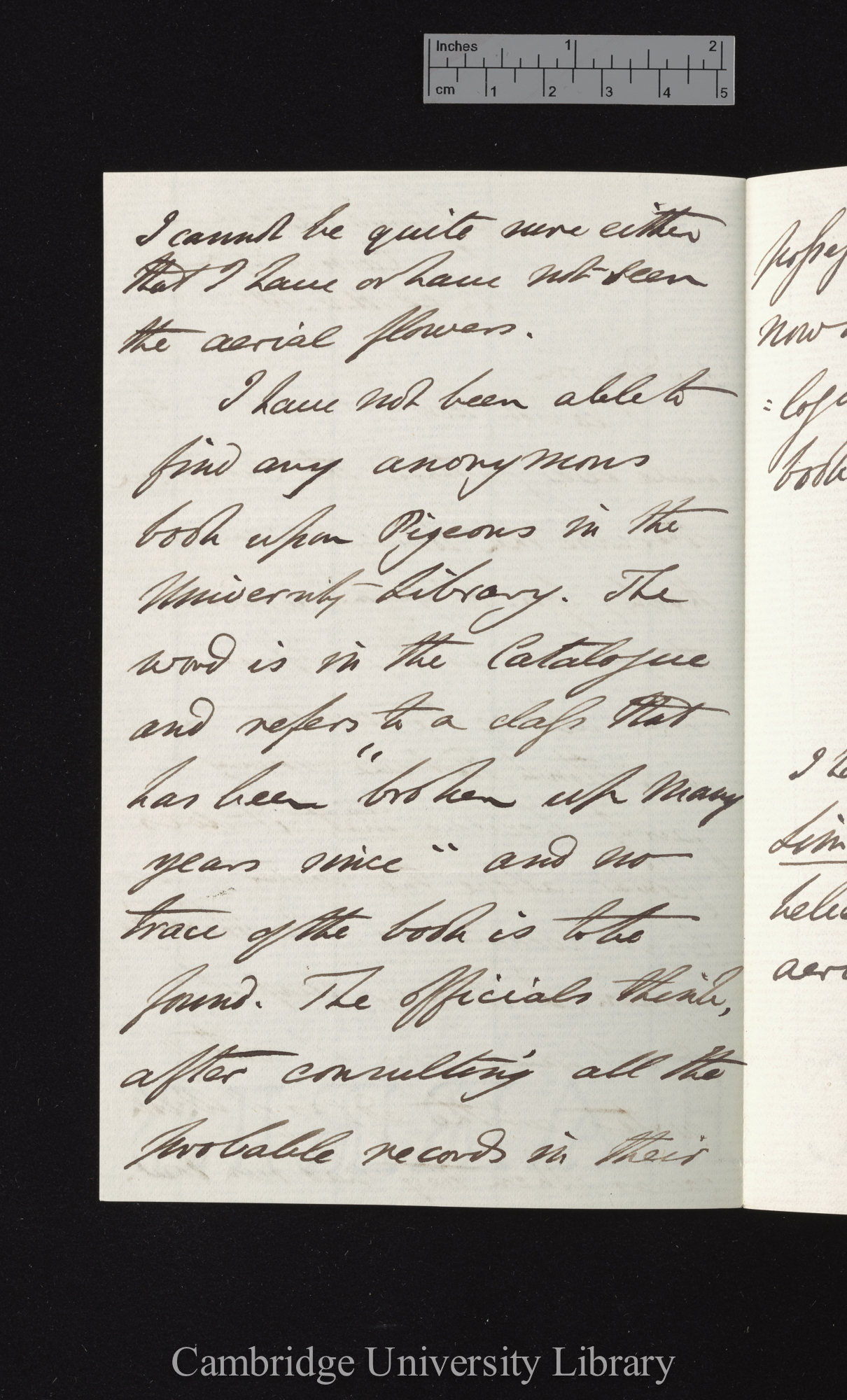 Charles Cardale Babington to Charles Robert Darwin