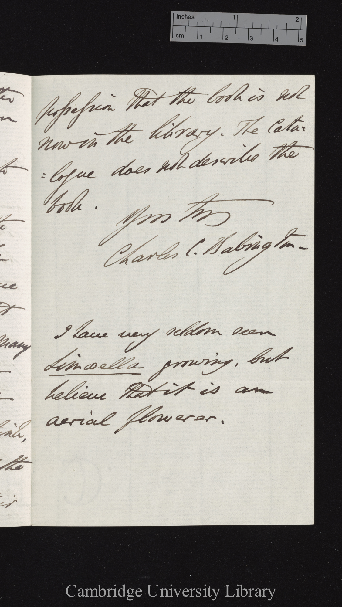 Charles Cardale Babington to Charles Robert Darwin