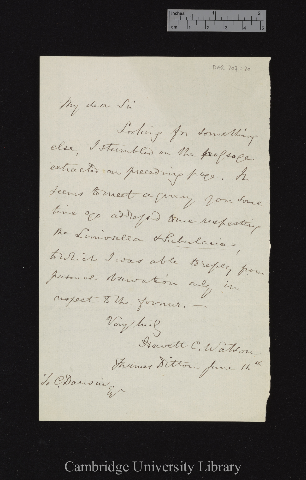 Hewett Cottrell Watson to Charles Robert Darwin