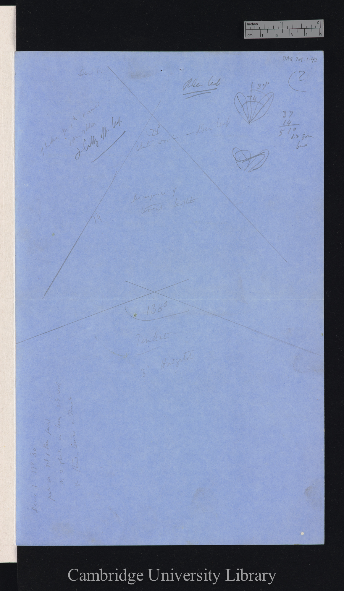 Desmodium [with diagrams]