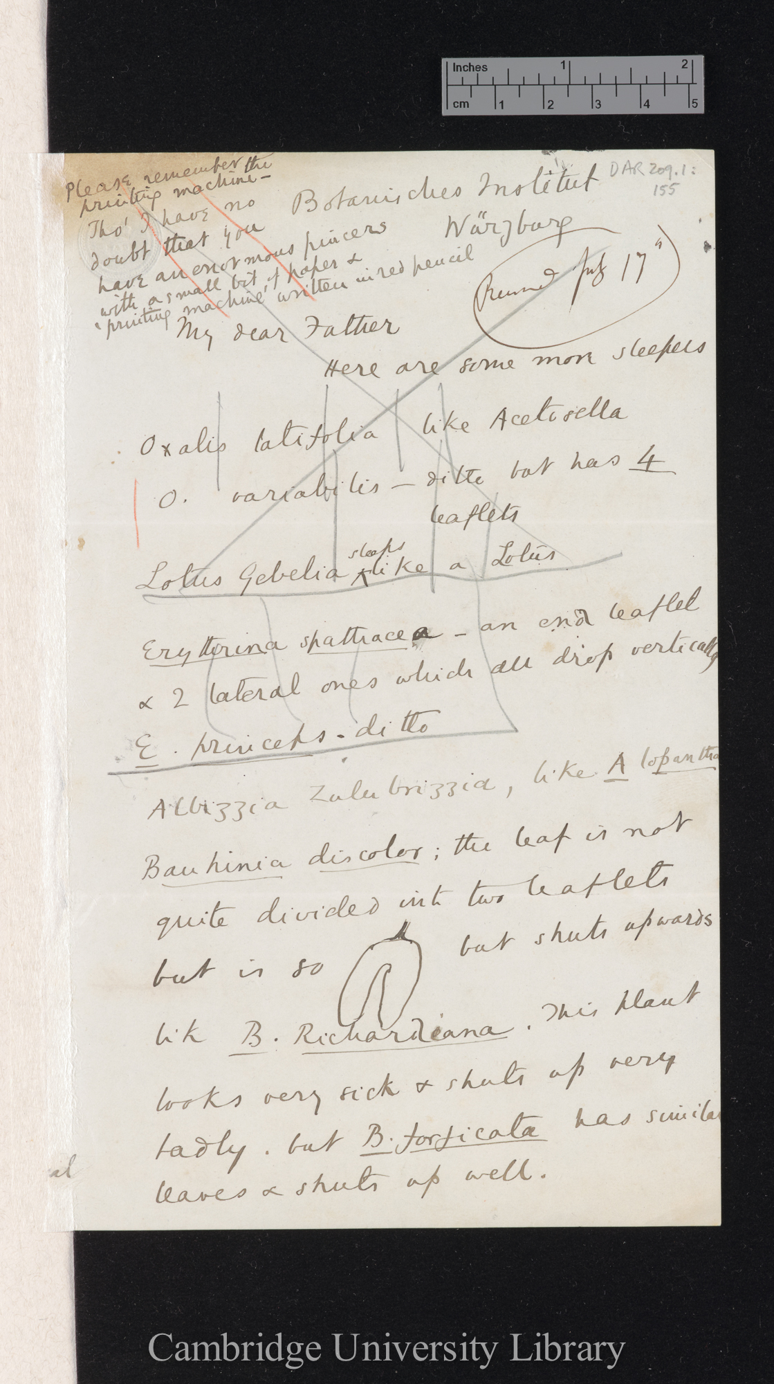 Sir Francis Darwin to Charles Robert Darwin