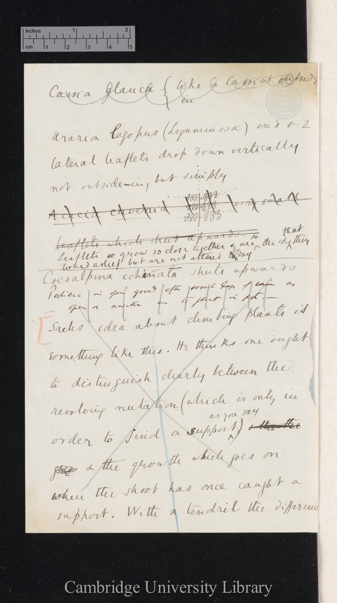 Sir Francis Darwin to Charles Robert Darwin