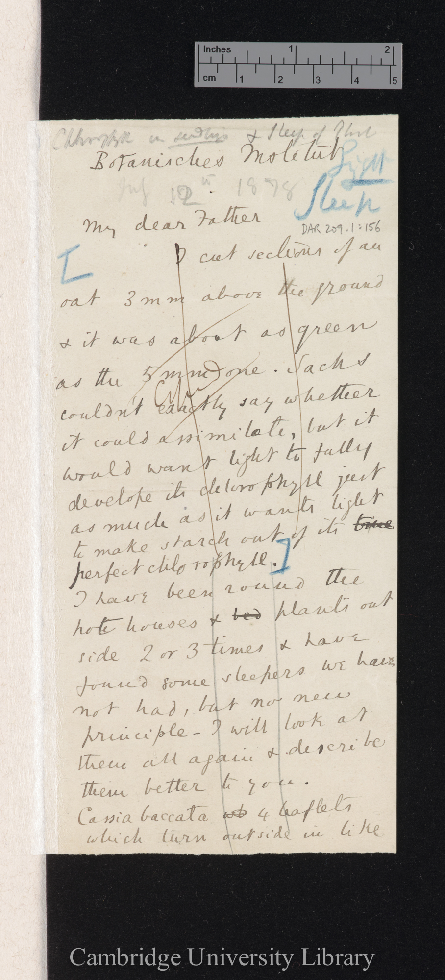 Sir Francis Darwin to Charles Robert Darwin